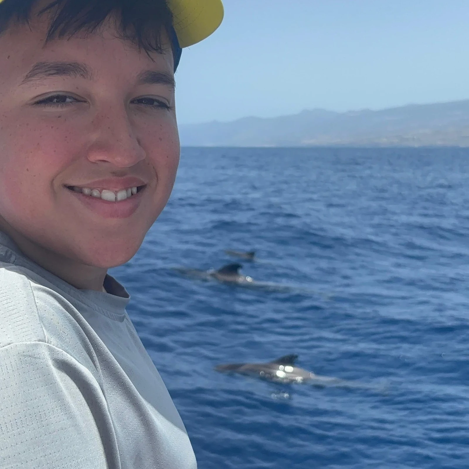 Whale and dolphin watching from Costa Adeje