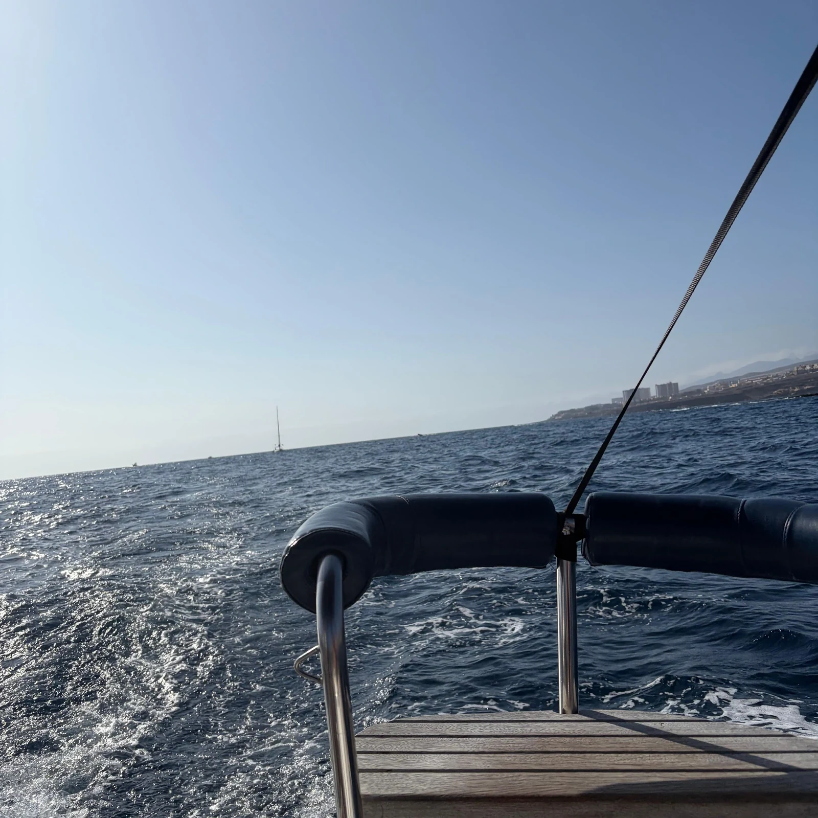 Wal- und Delfinbeobachtung auf Teneriffa ab Costa Adeje