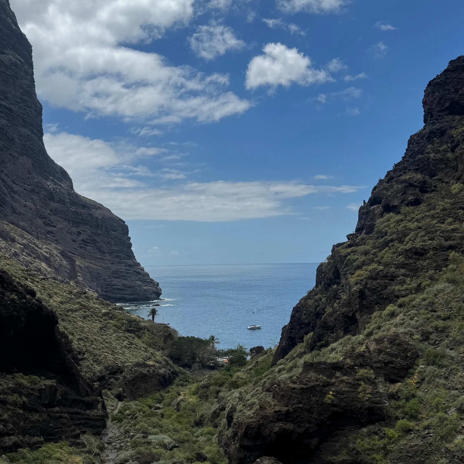 Geführte Wanderung durch die Masca-Schlucht mit Boot und Transfer