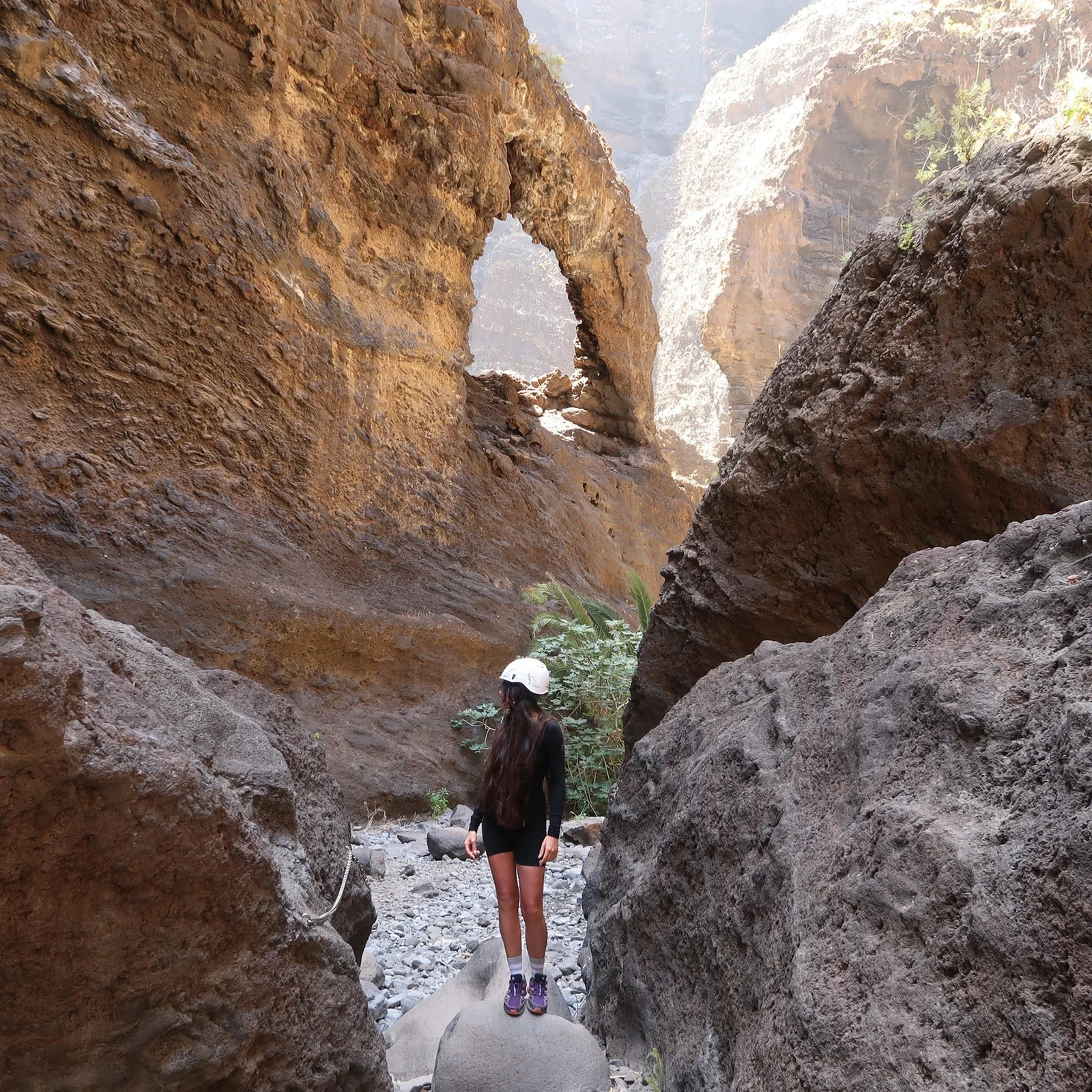 Geführte Wanderung durch die Masca-Schlucht mit Boot und Transfer