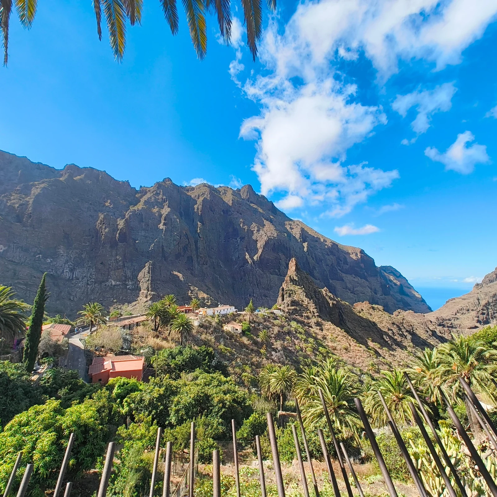 Masca und Los Gigantes in kleiner Gruppe
