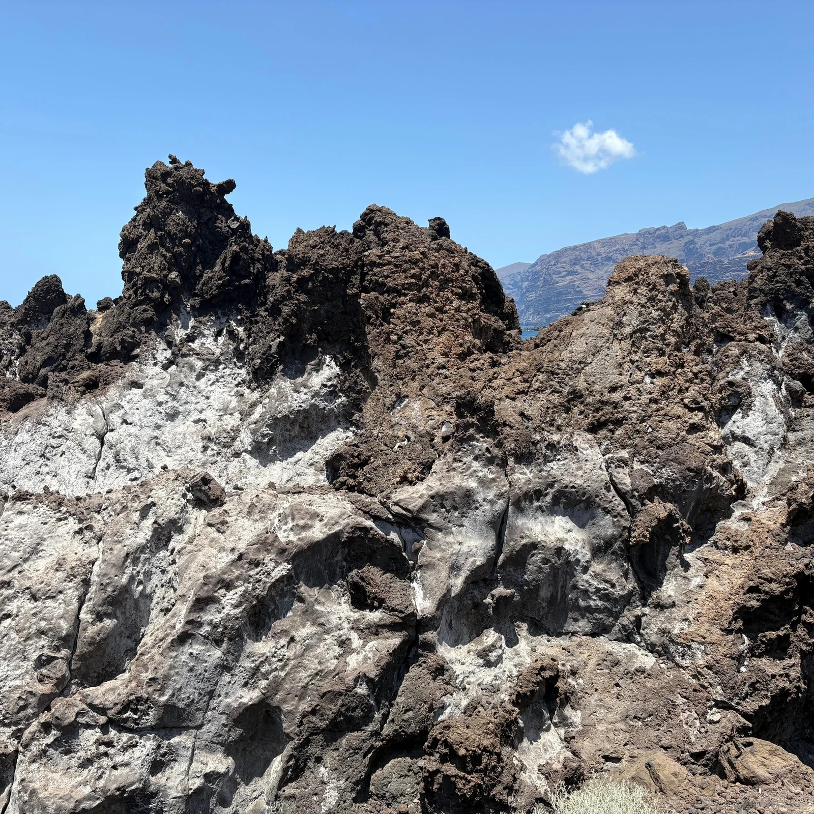 Masca und Los Gigantes Tour mit Picknick auf Teneriffa