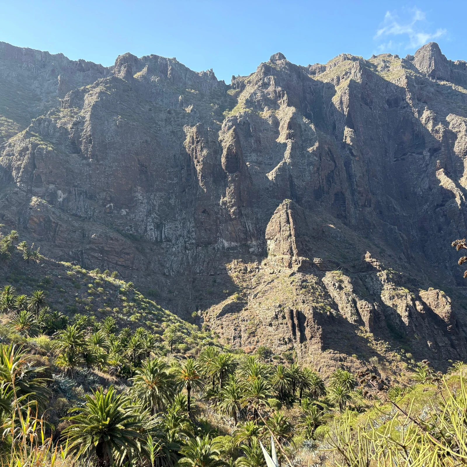 Masca und Los Gigantes Tour mit Picknick auf Teneriffa