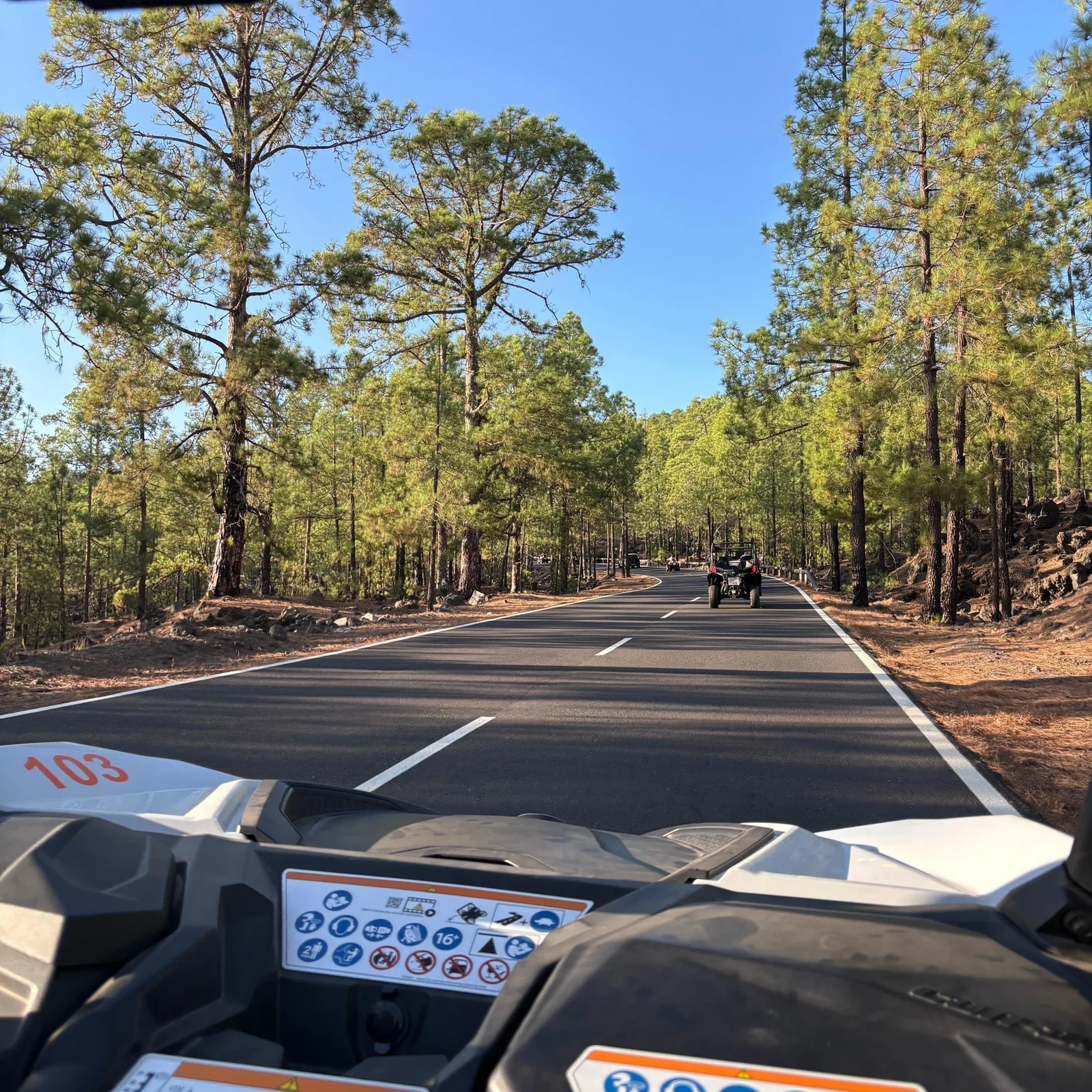 Excursion guidée en quad au Teide en journée ou au coucher du soleil