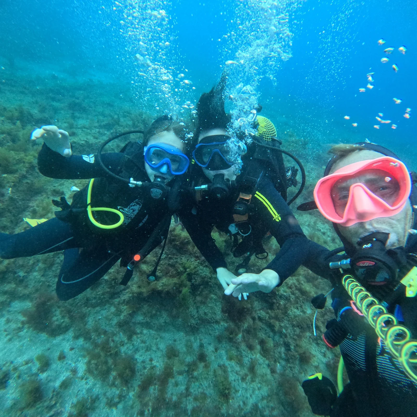 Votre première plongée et une séance de snorkeling guidée à Tenerife