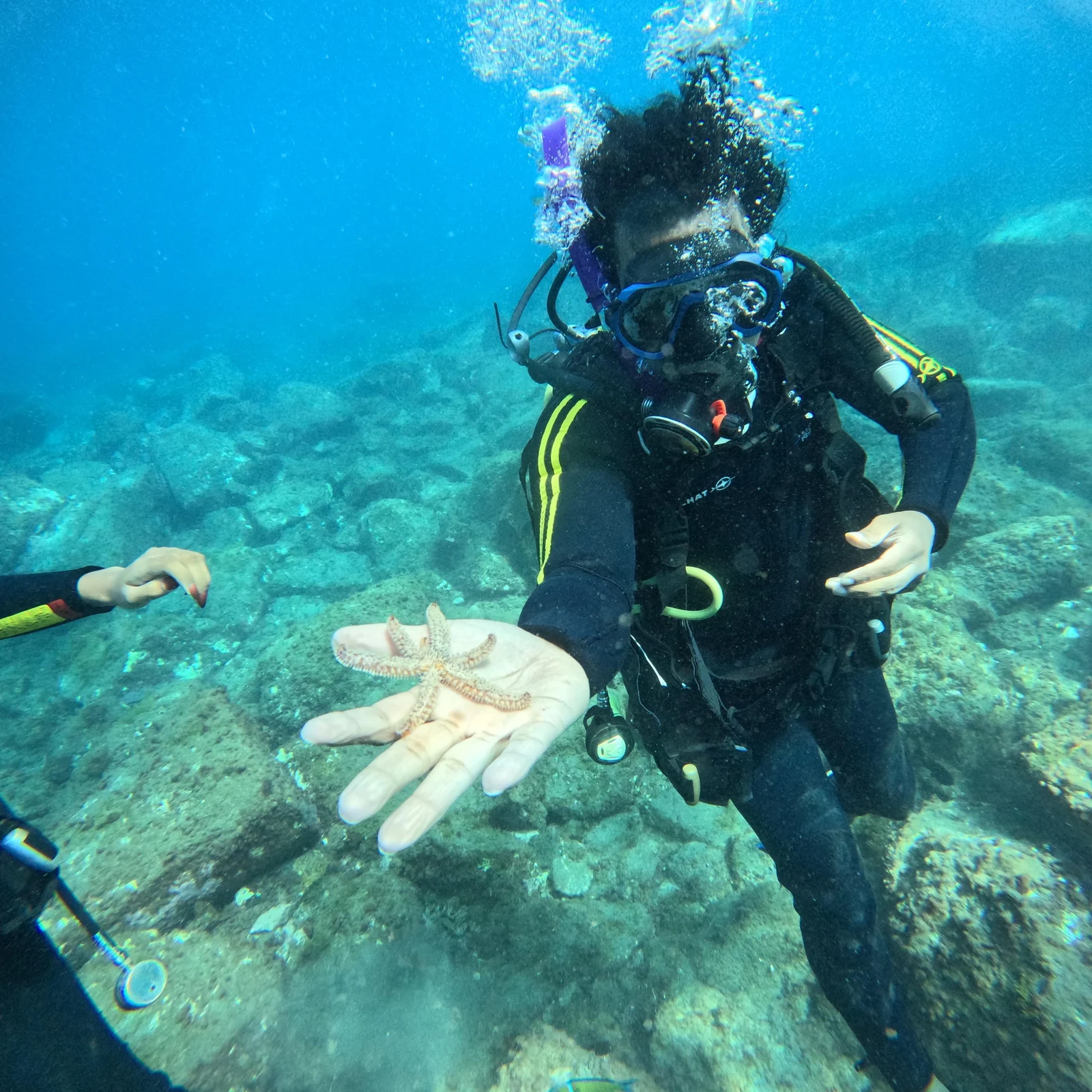 Baptême de plongée et snorkeling à Tenerife depuis Puerto Colón