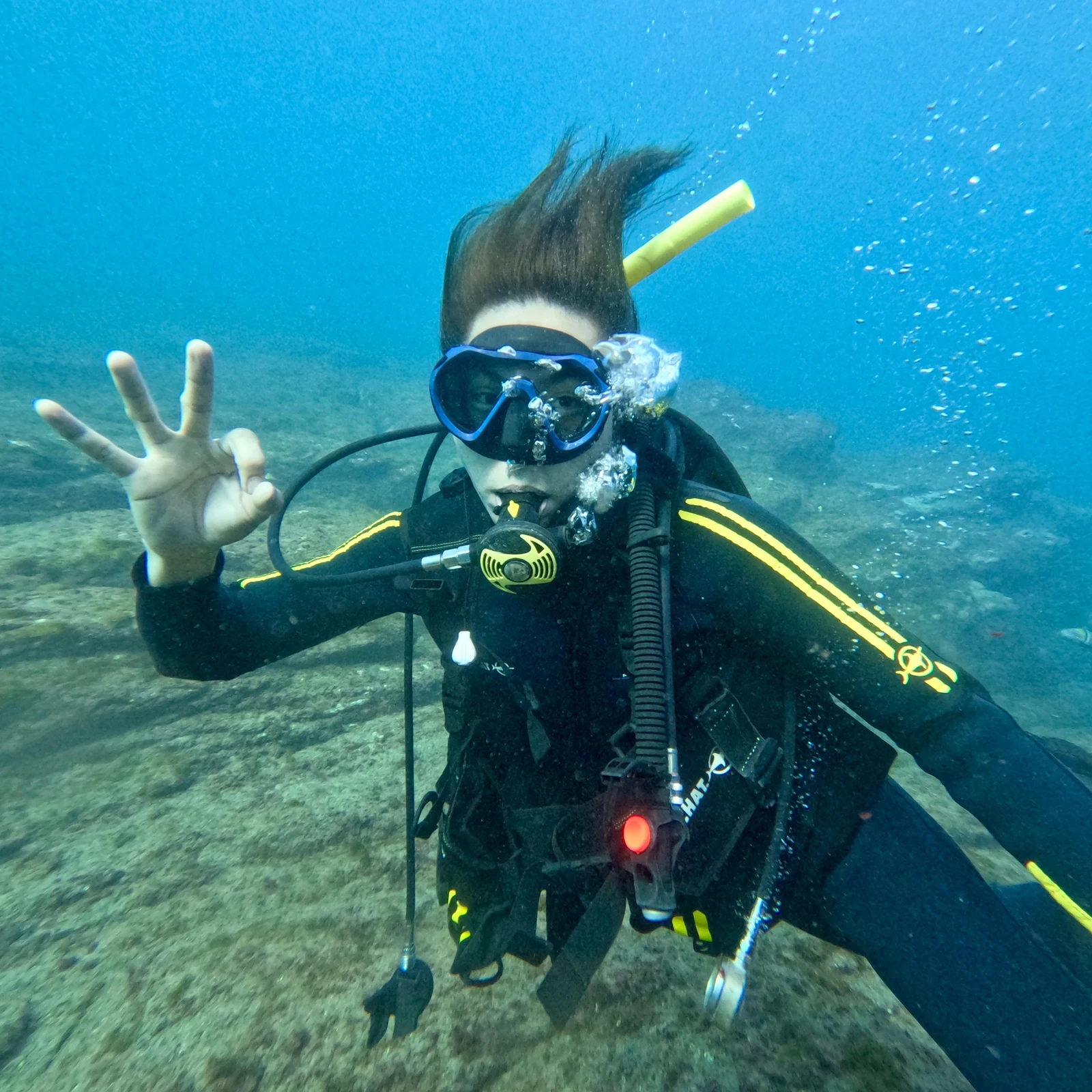 Baptême de plongée et snorkeling à Tenerife depuis Puerto Colón