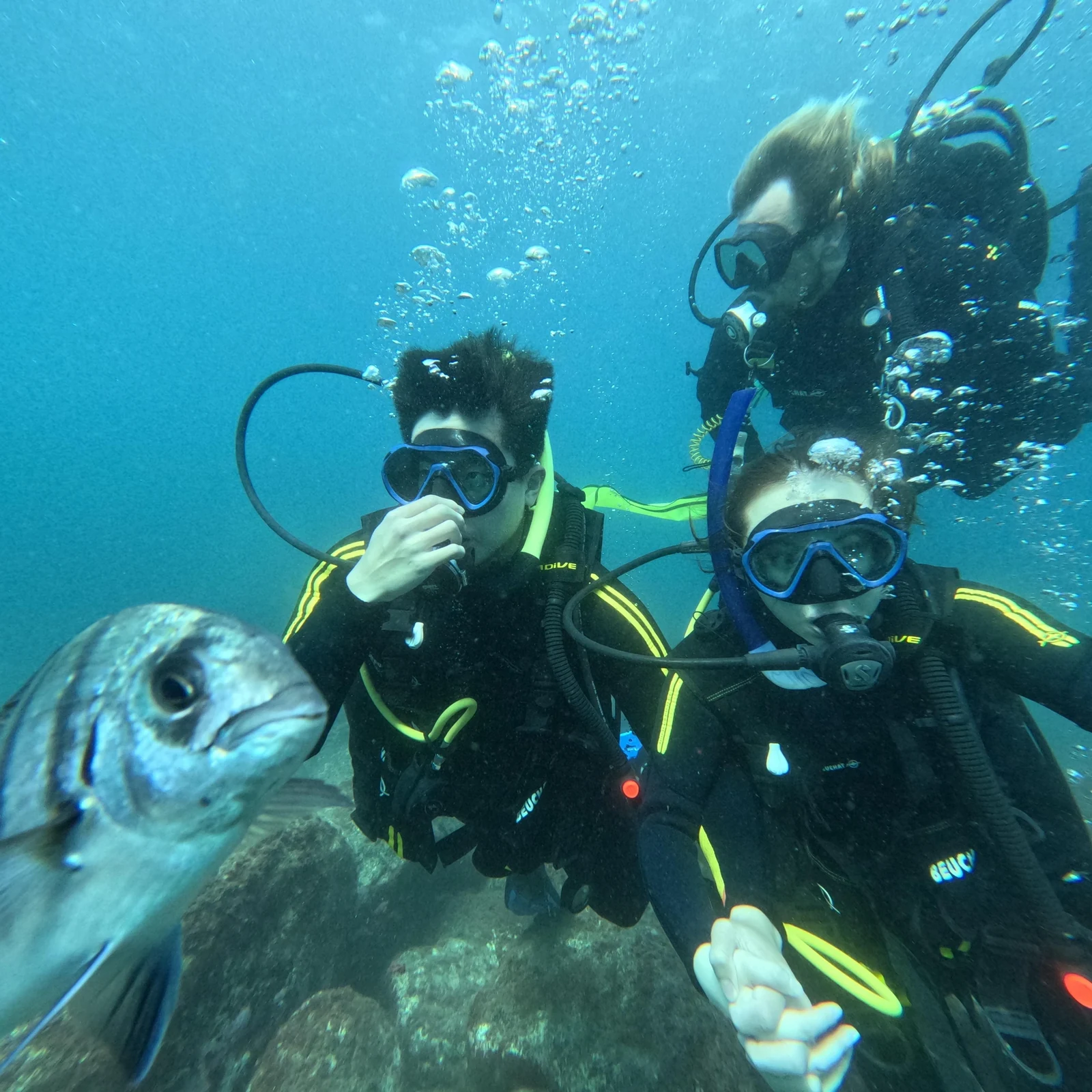 Baptême de plongée et snorkeling à Tenerife depuis Puerto Colón