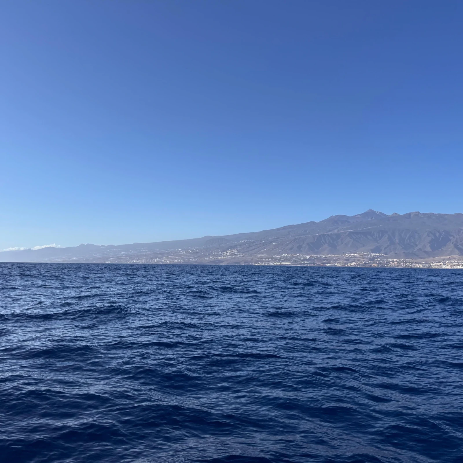 Tenerife Sunset Catamaran Tour with Transfer, Buffet and Drinks