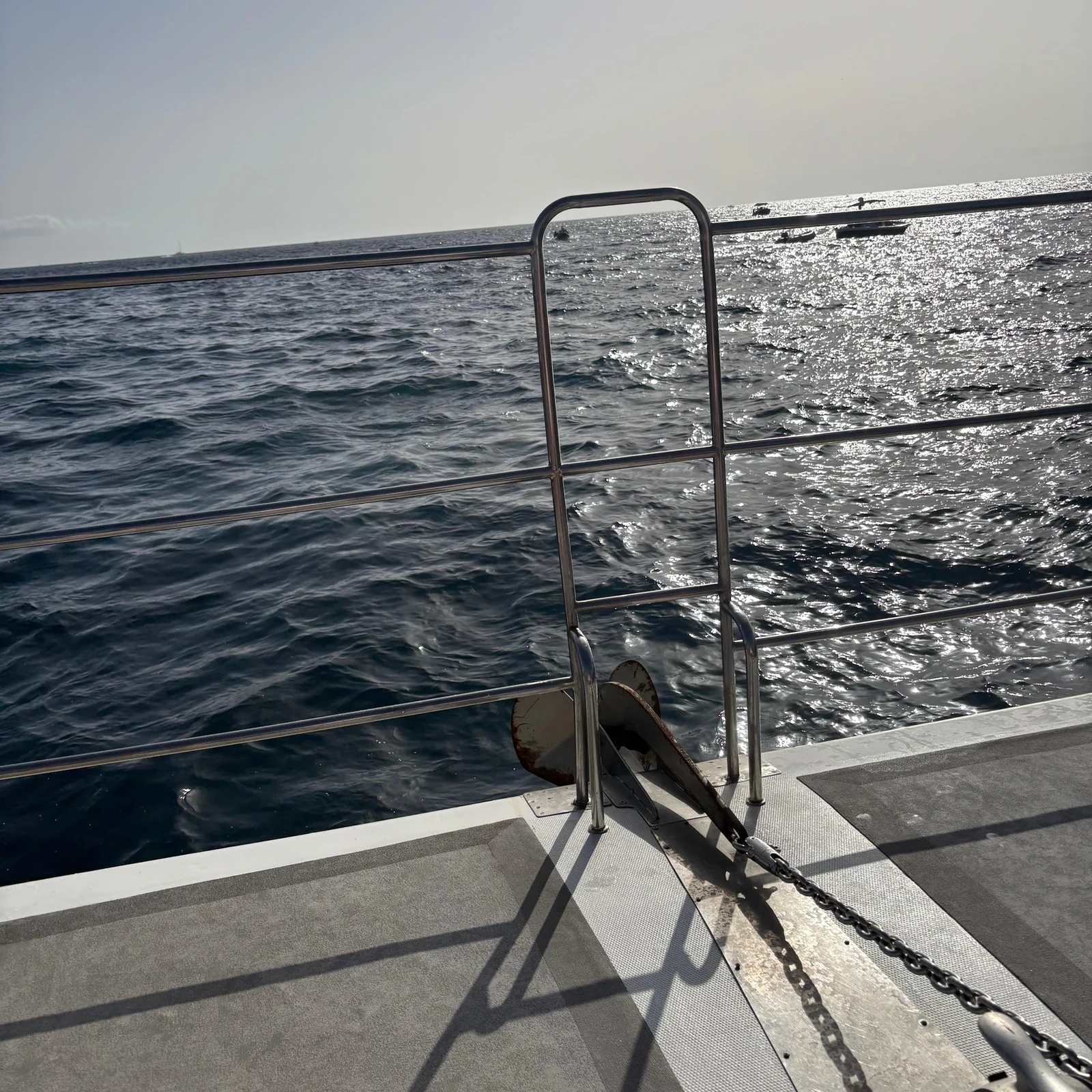 Tenerife Sunset Catamaran Tour with Transfer, Buffet and Drinks