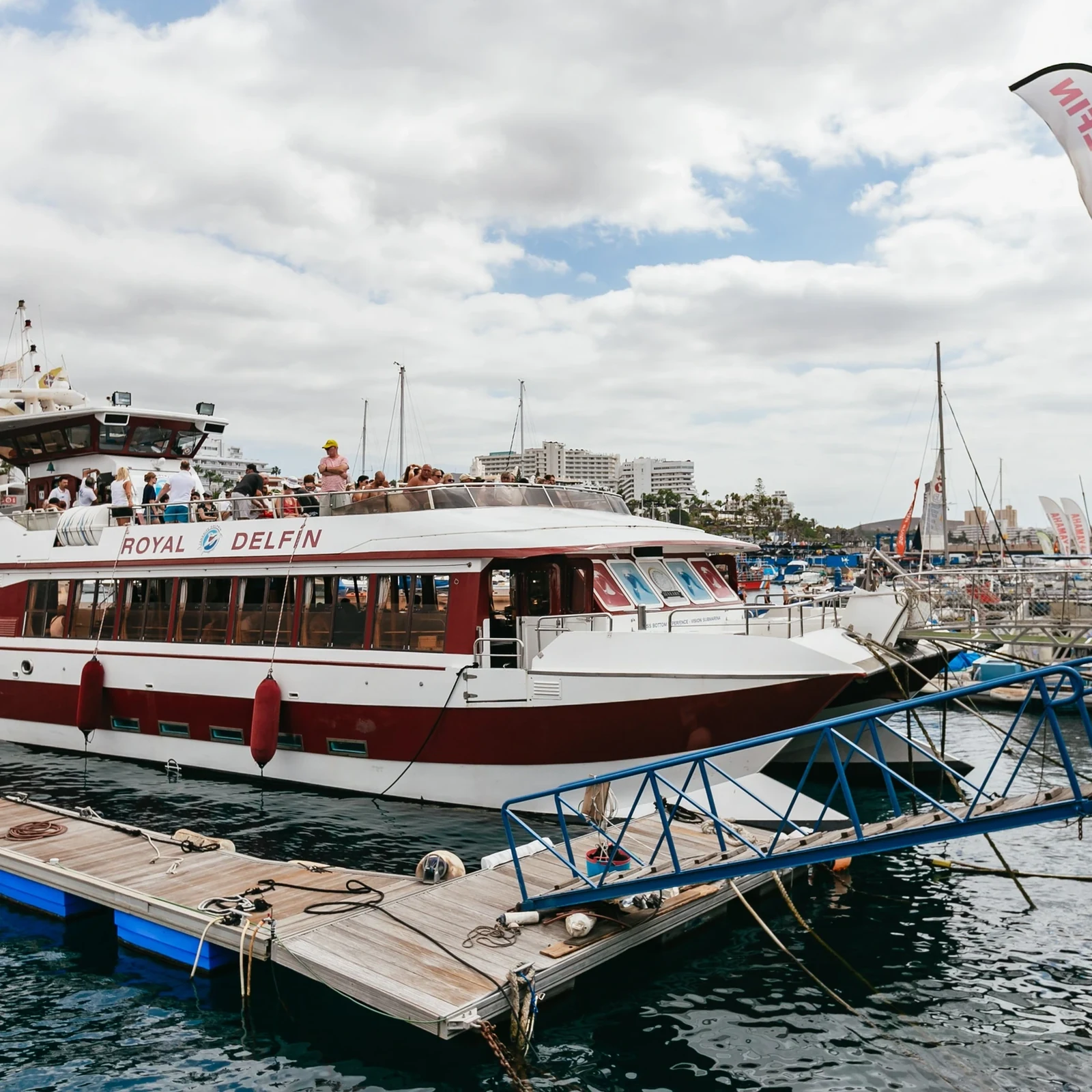 Croisière baleines et dauphins depuis Adeje avec déjeuner et baignade