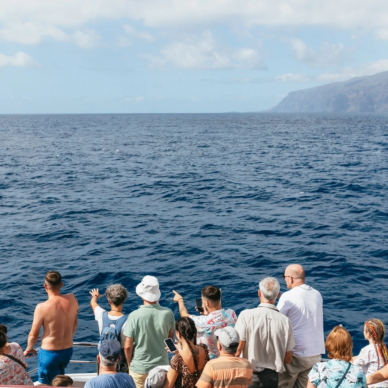 Croisière baleines et dauphins depuis Adeje avec déjeuner et baignade