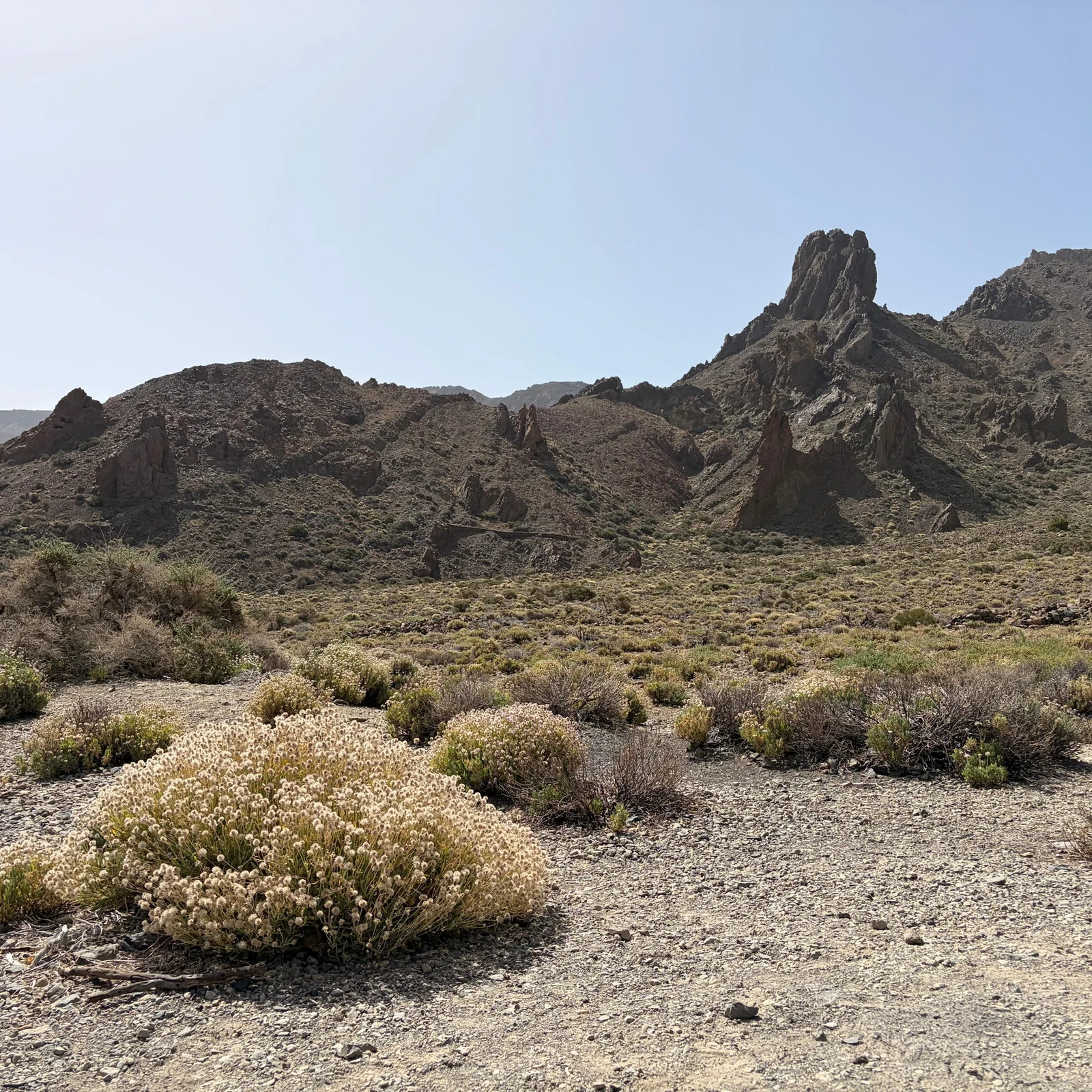 Excursion en quad au Teide en journée ou au coucher du soleil