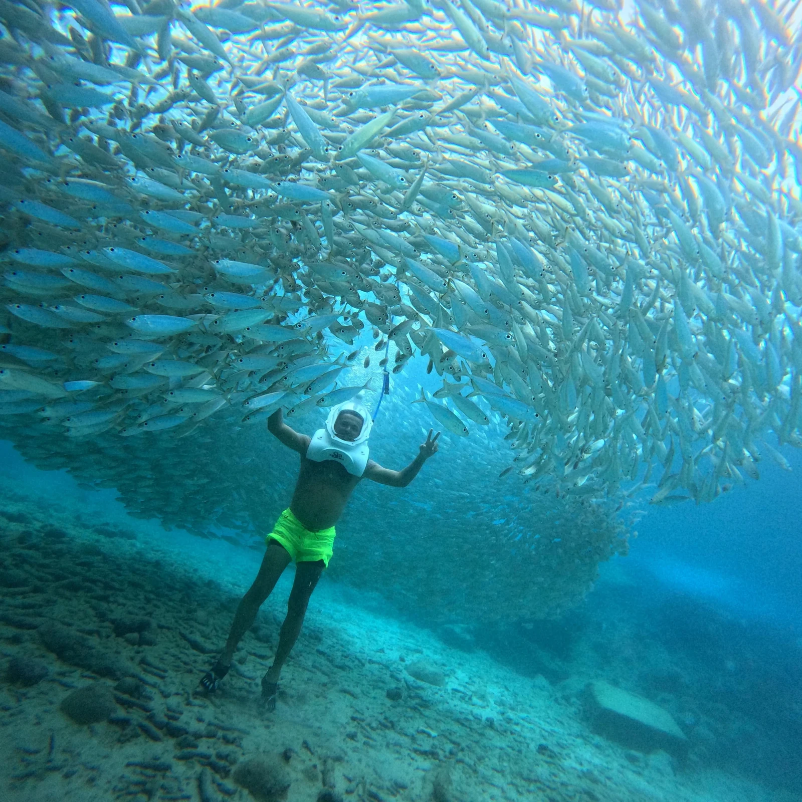 Marche sous-marine Sea Trek à Tenerife