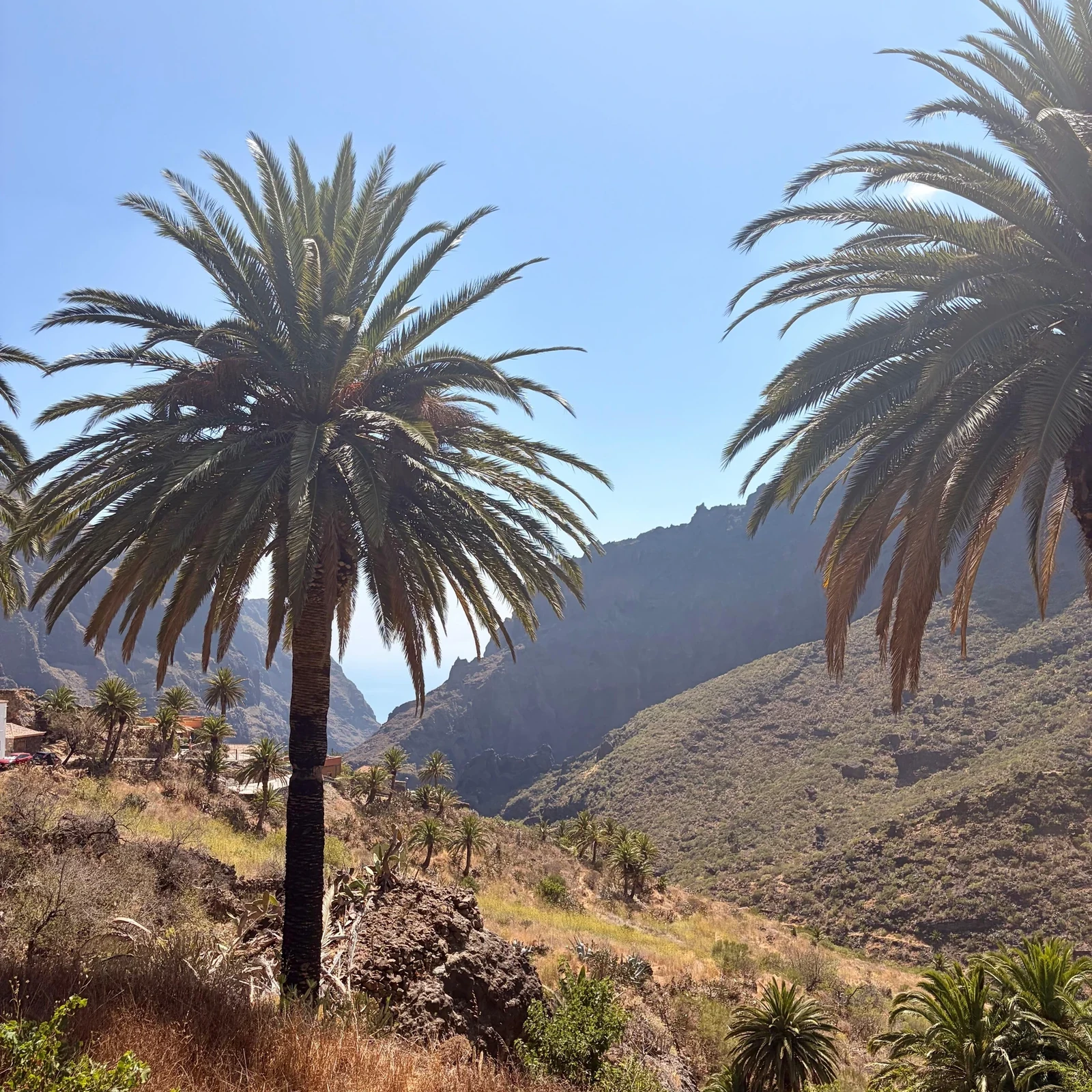 Excursión al Teide, Masca, Icod y Garachico desde Tenerife