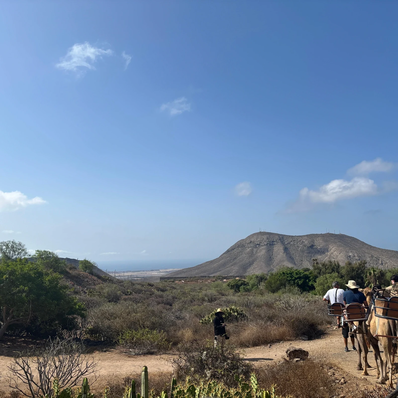 Kamelerlebnis auf Teneriffa | Camel Park
