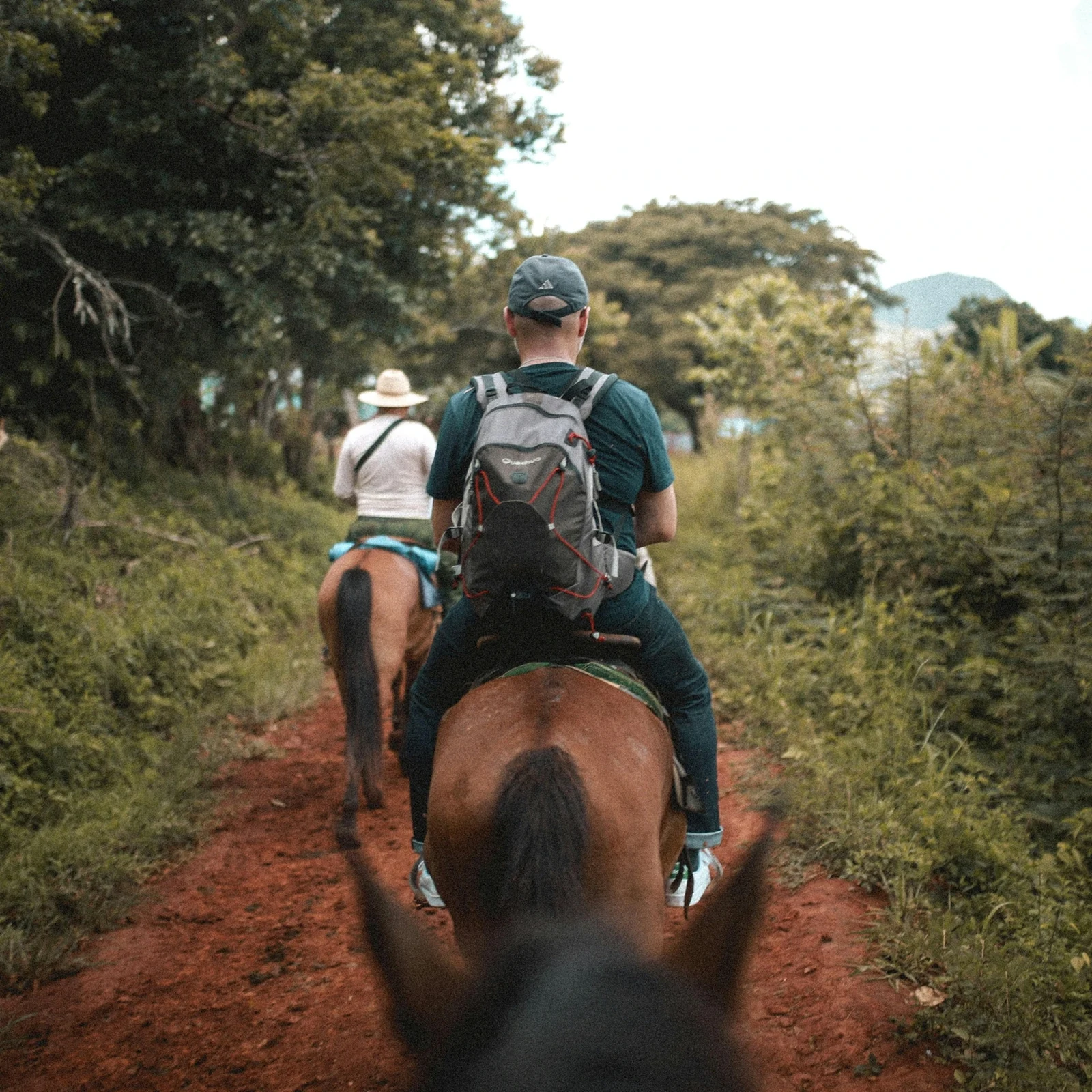 Una hora a caballo entre el océano y el paisaje volcánico de Tenerife