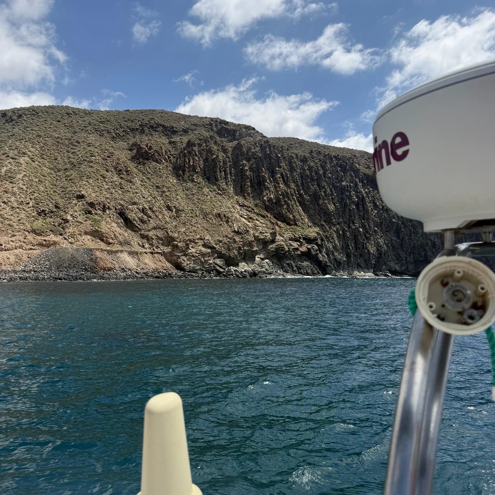 Safari d’observation des baleines en bateau dans le sud de Tenerife