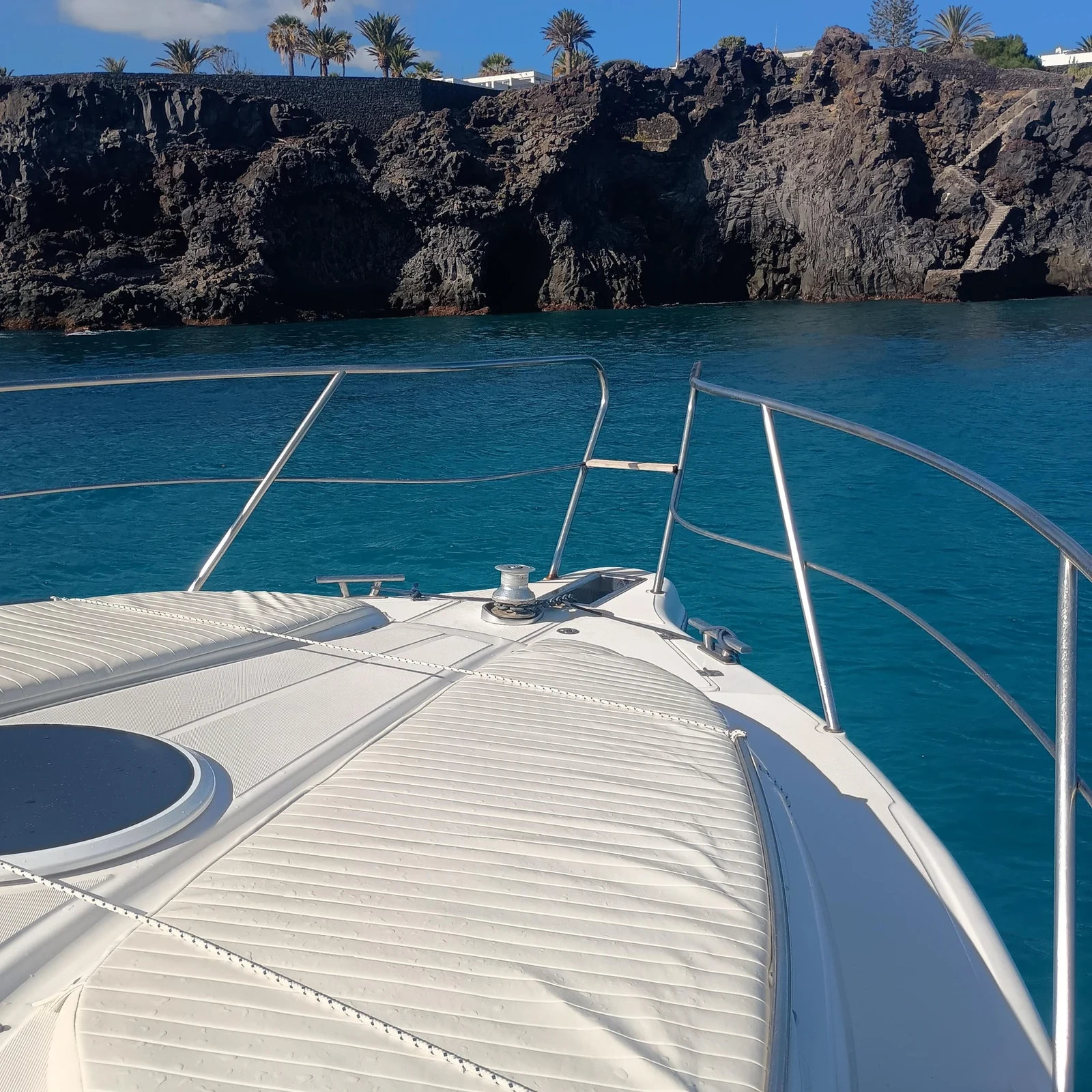 Luxury whale-watching boat safari in southern Tenerife
