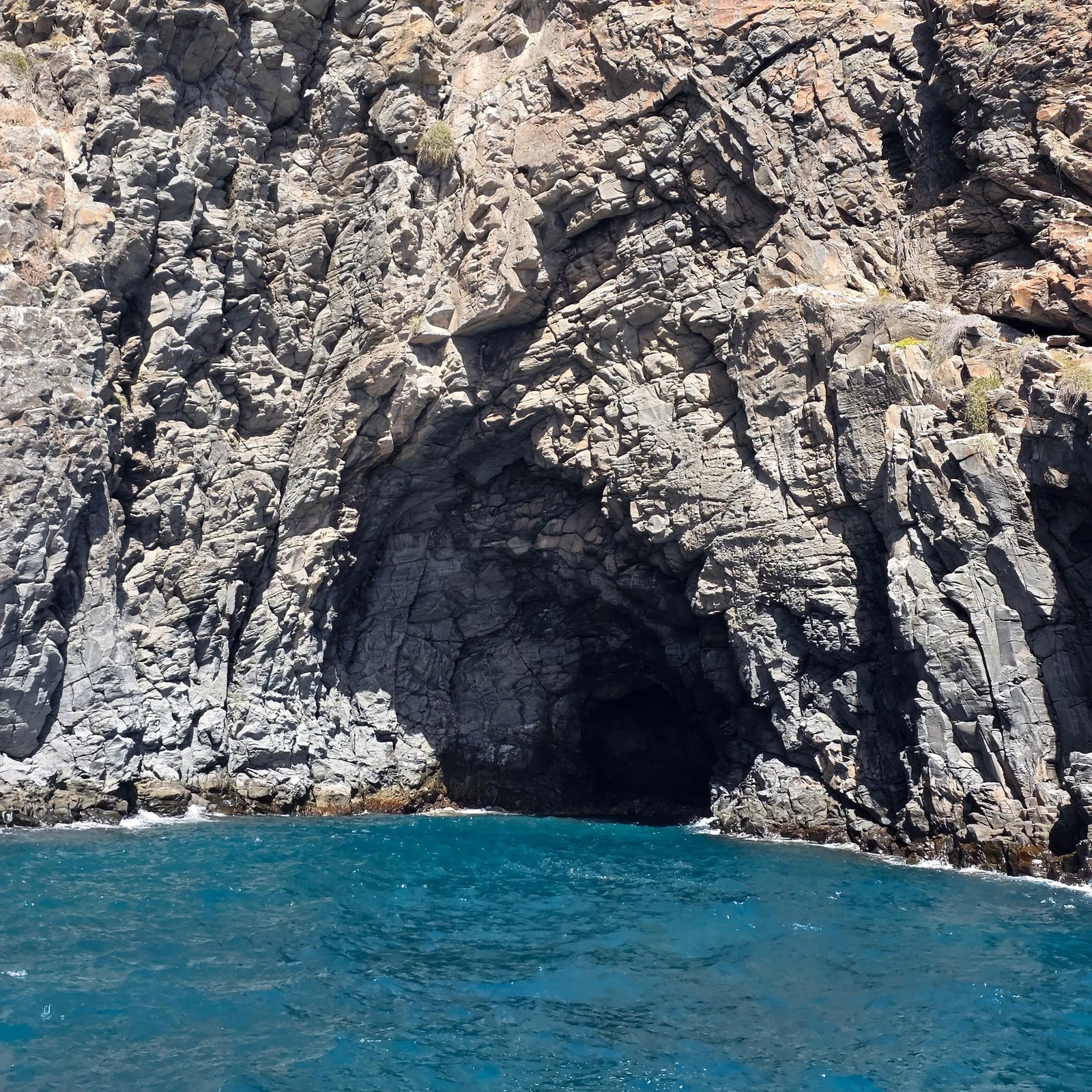 Safari d’observation des baleines en bateau dans le sud de Tenerife
