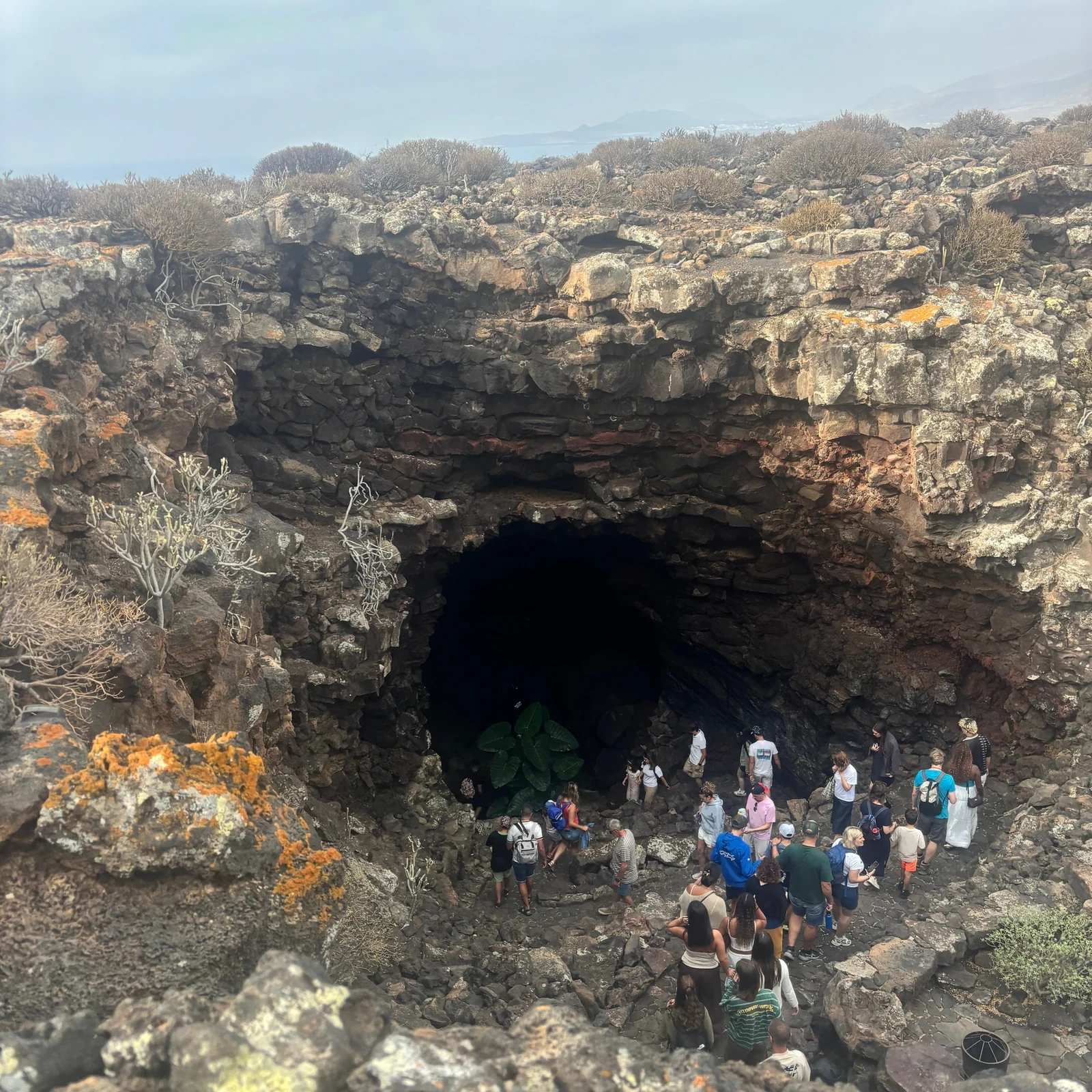 Découvrez les contrastes de Lanzarote en une journée organisée