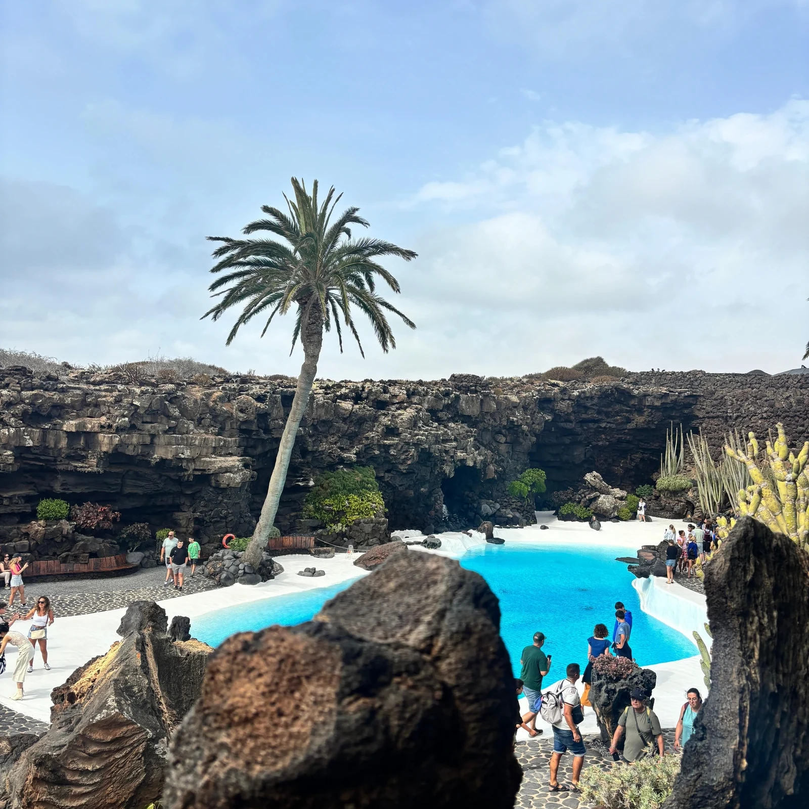 Découvrez les contrastes de Lanzarote en une journée organisée