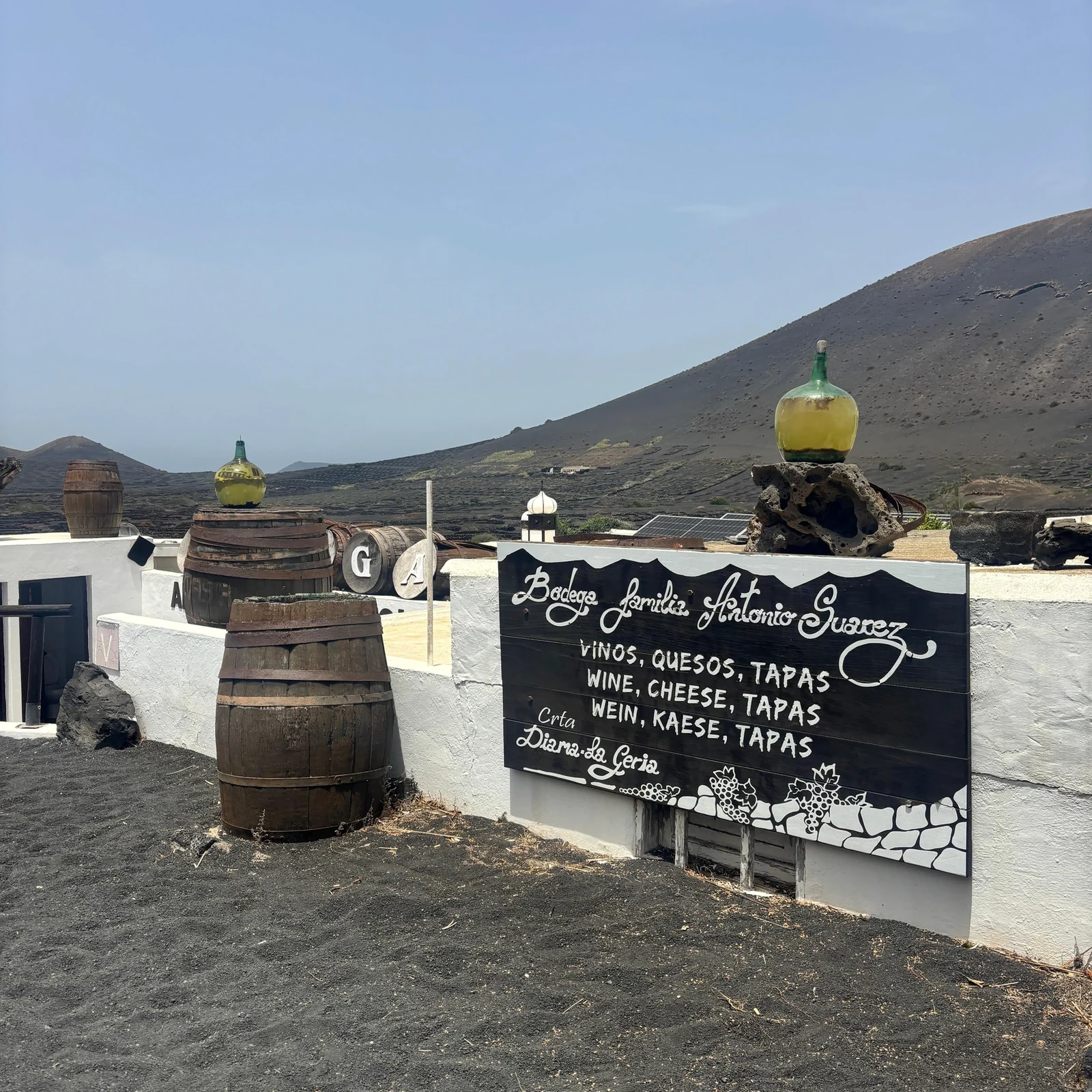 Découvrez les contrastes de Lanzarote en une journée organisée
