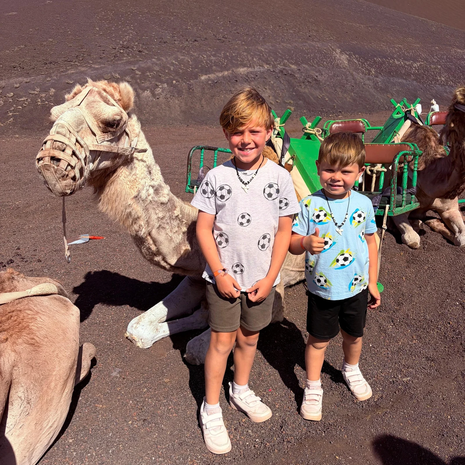 Descubre los cráteres y campos de lava de Timanfaya