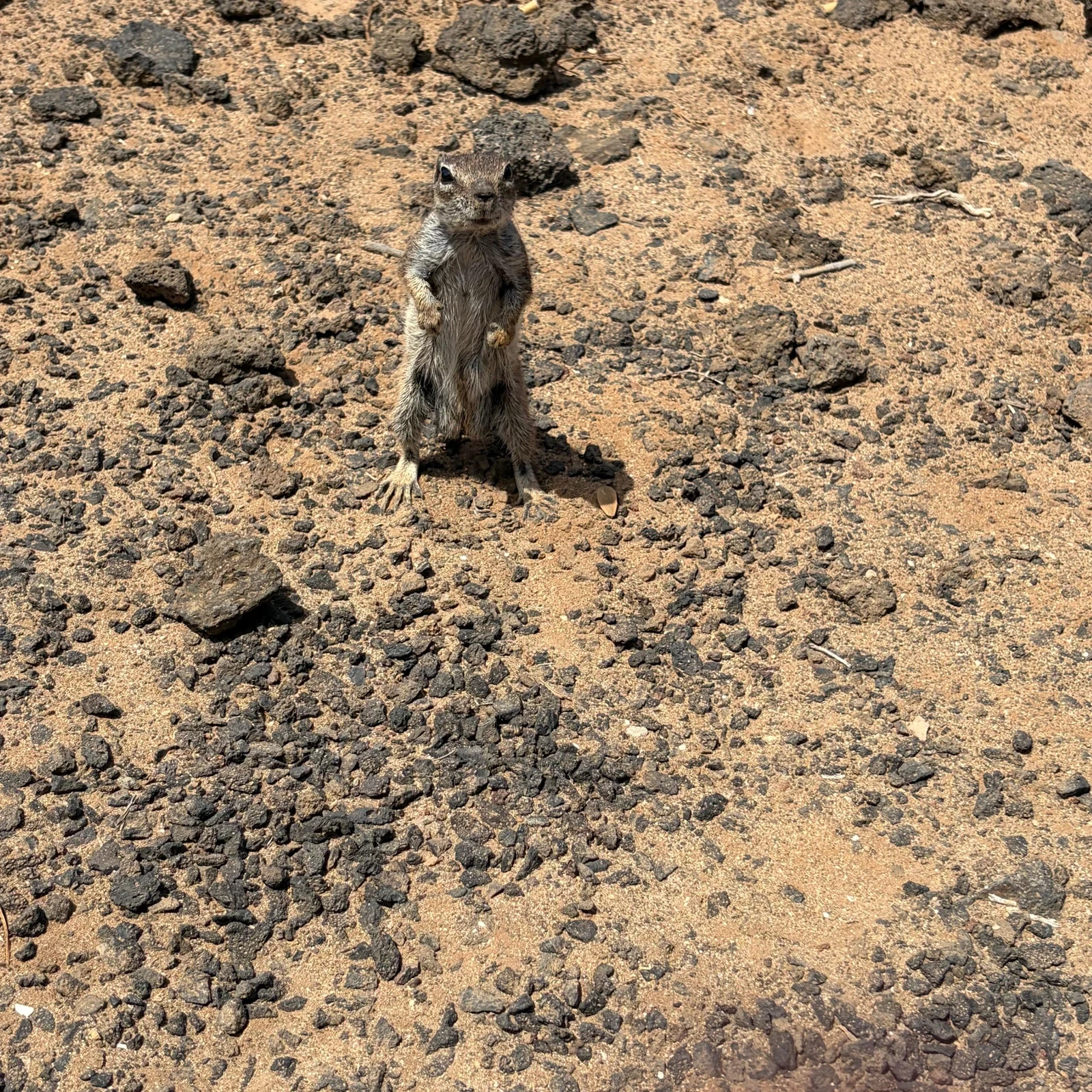Découvrez le nord de Fuerteventura depuis Lanzarote en une journée