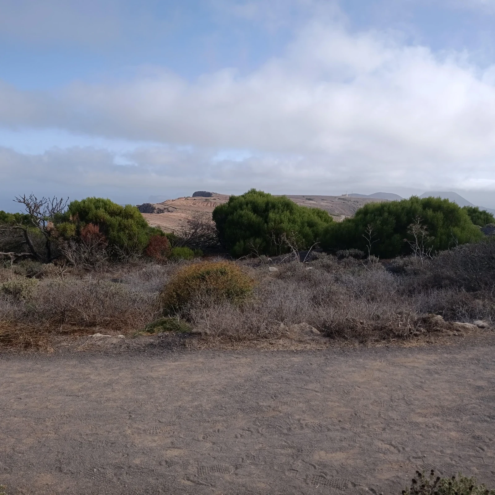 Explorez le nord volcanique de Lanzarote sans organiser vous-même le circuit