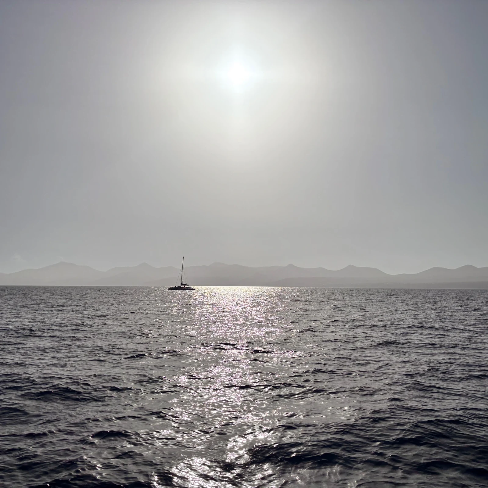 Cherchez les dauphins au large de Lanzarote au coucher du soleil