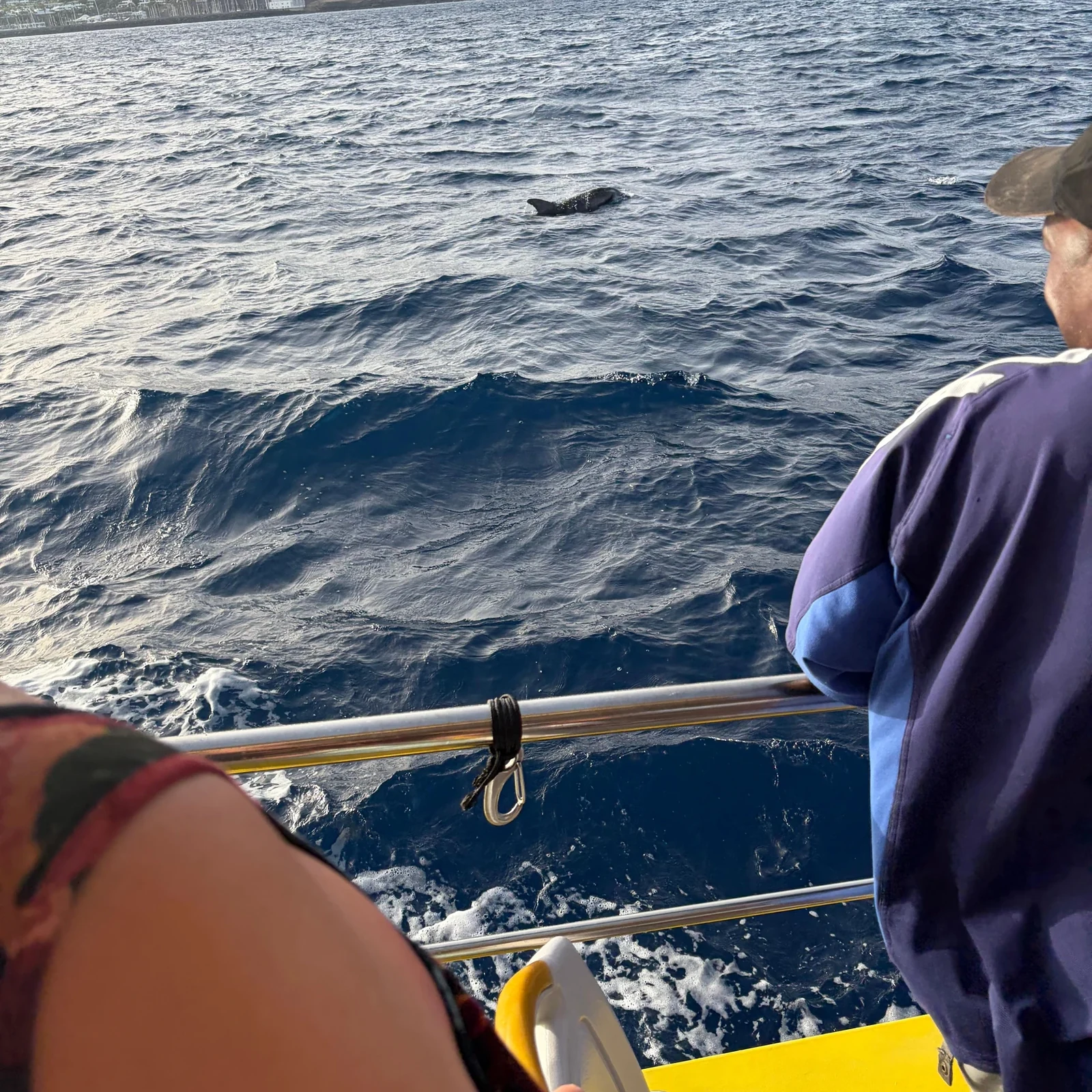Cherchez les dauphins au large de Lanzarote au coucher du soleil