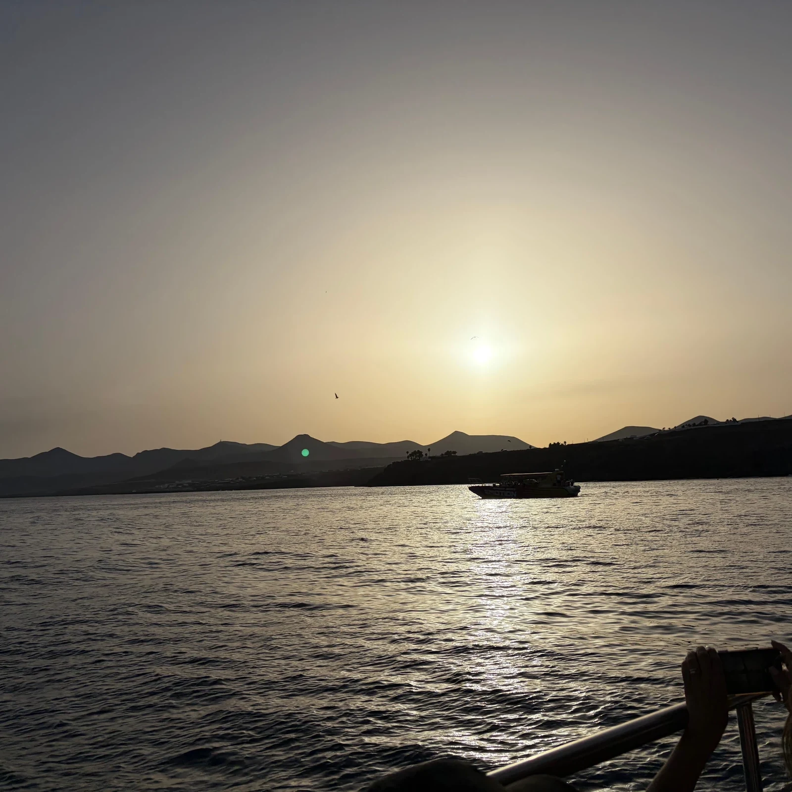Cherchez les dauphins au large de Lanzarote au coucher du soleil
