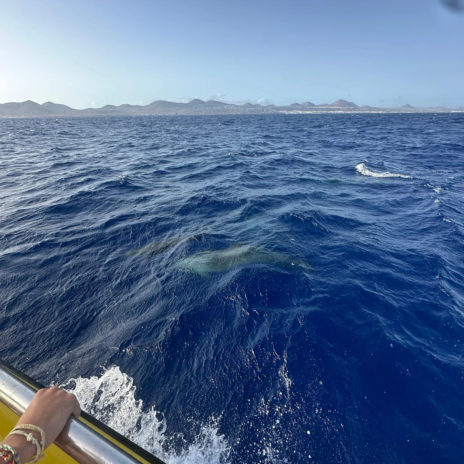 Cherchez les dauphins au large de Lanzarote au coucher du soleil