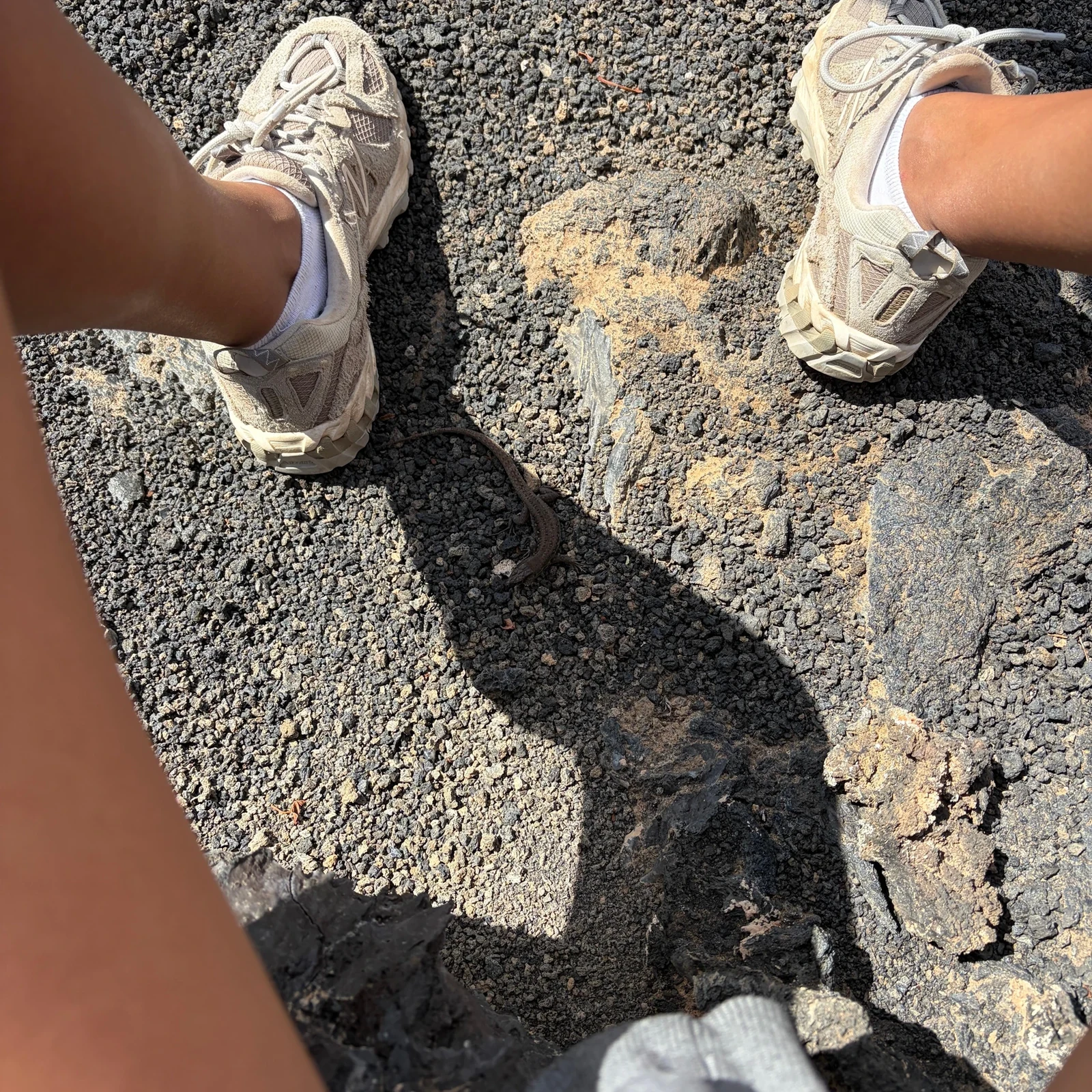 Walk among Timanfaya’s lava fields, volcanoes and craters