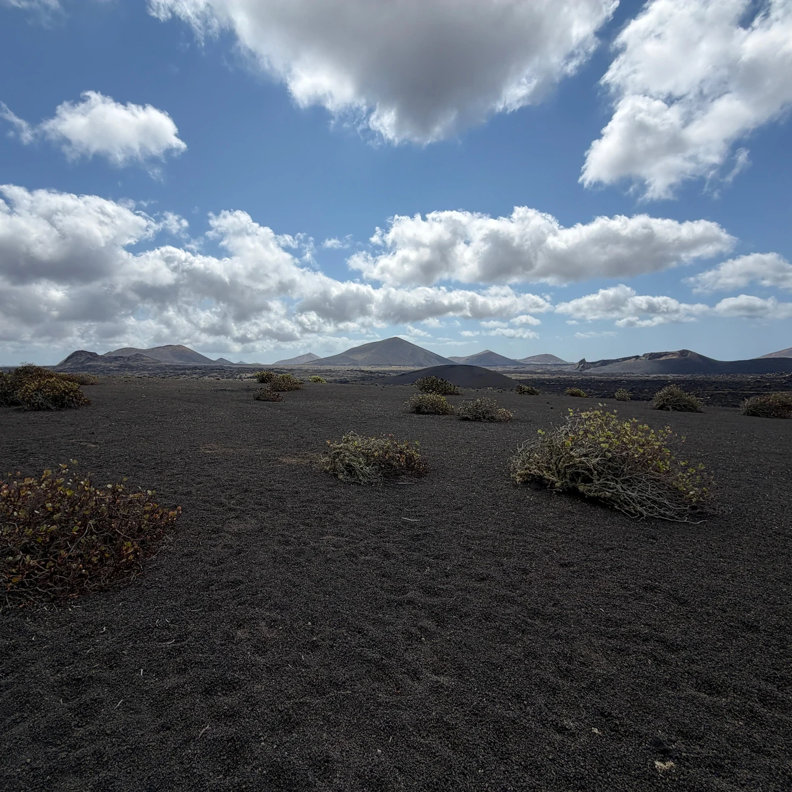Marchez parmi les laves, volcans et cratères de Timanfaya