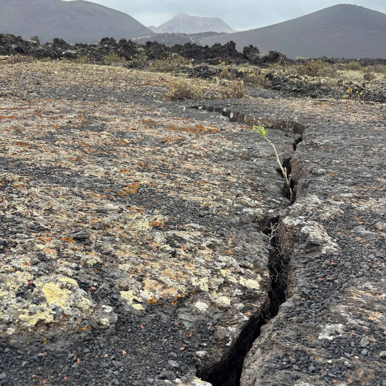 Marchez parmi les laves, volcans et cratères de Timanfaya