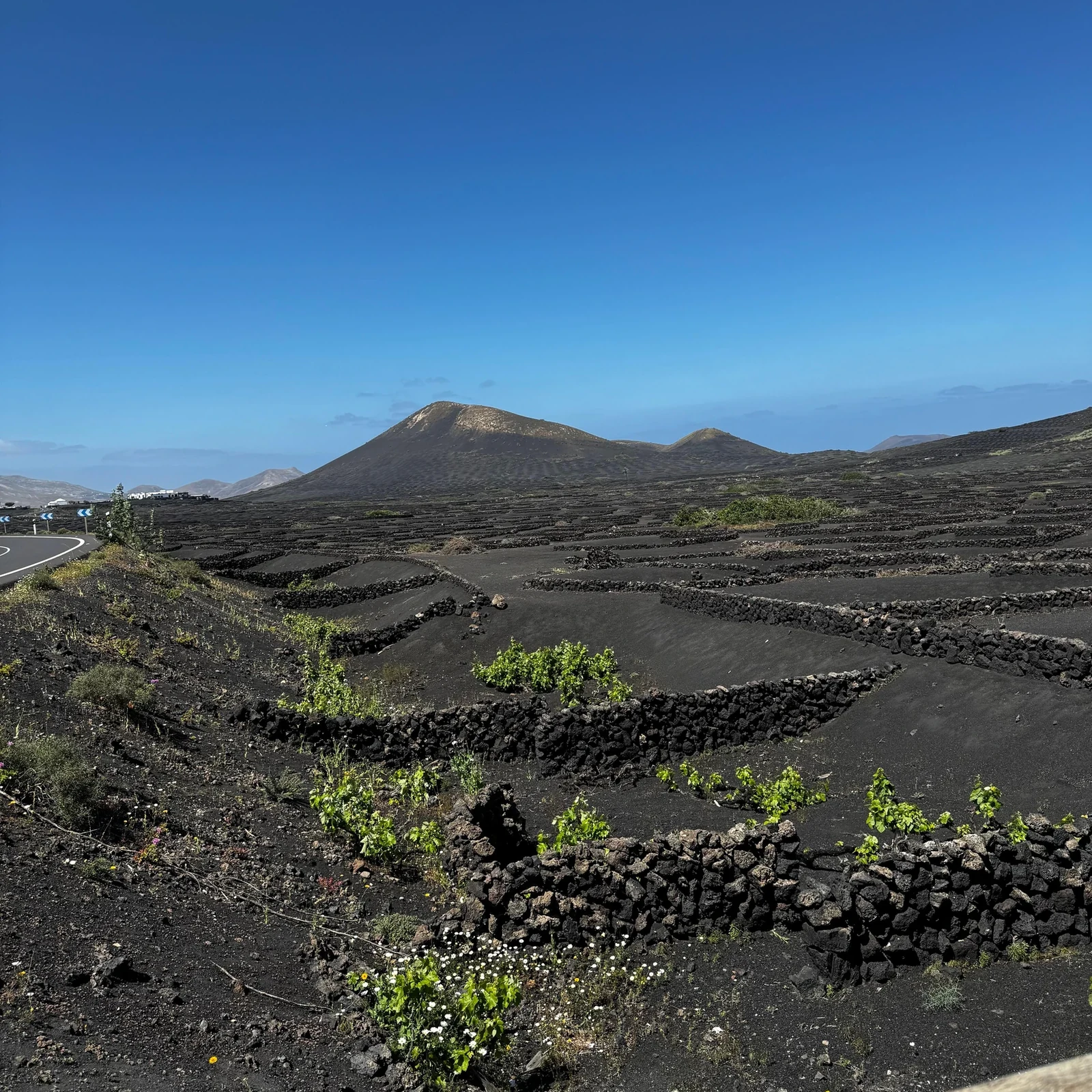 Timanfaya depuis Arrecife : une excursion adaptée à votre escale