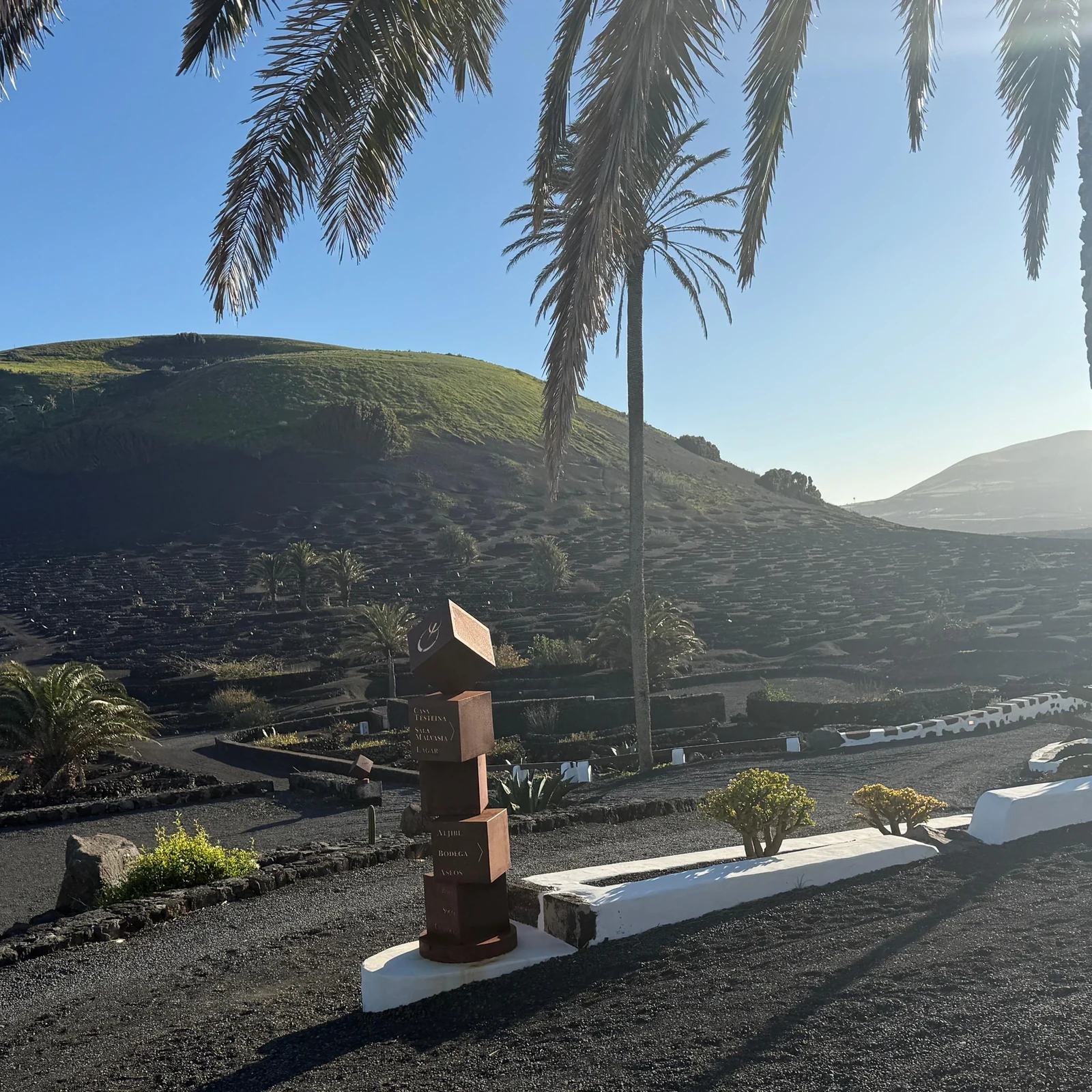 Entdecke Lanzarotes Vulkanwein auf der Finca Testeina