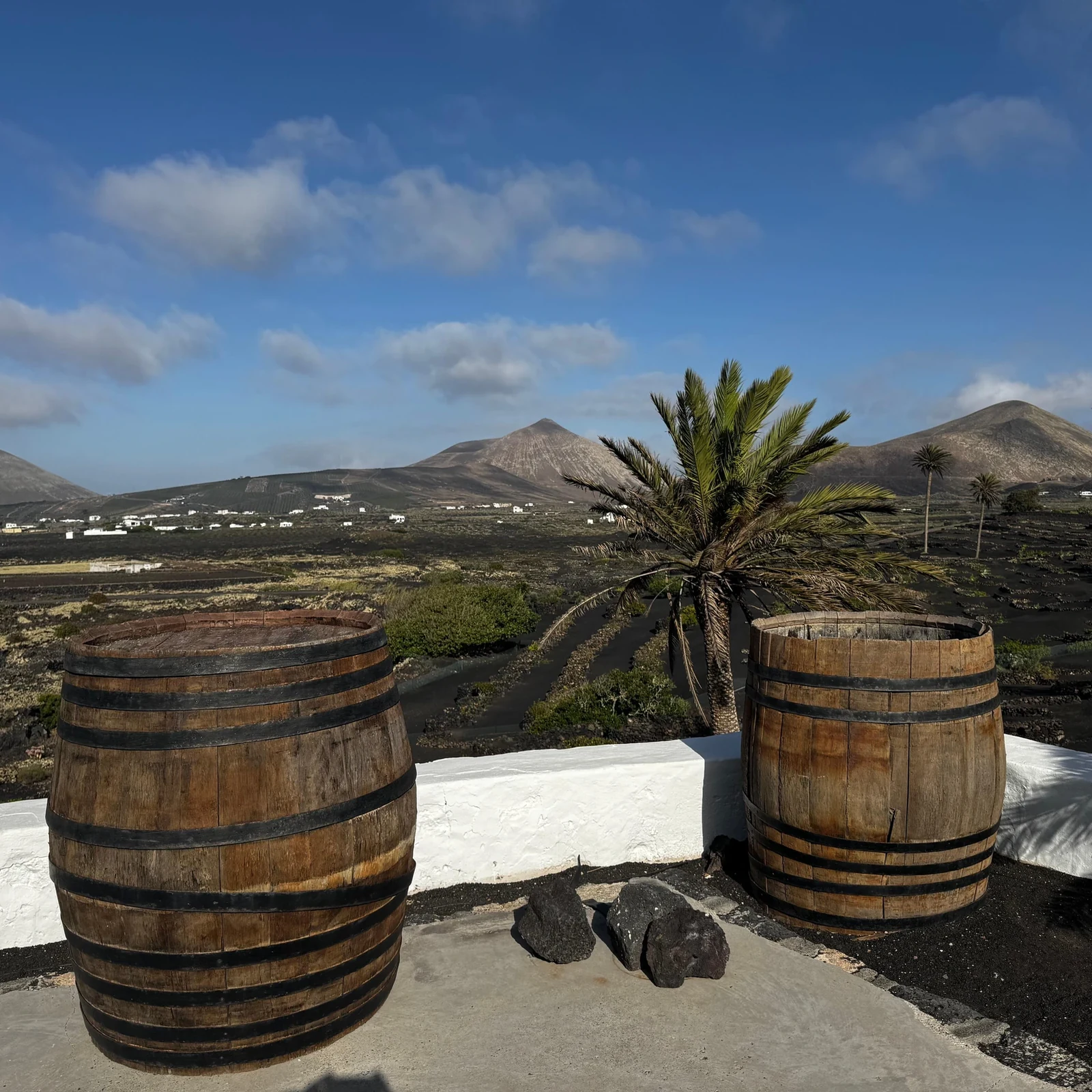 Discover Finca Testeina among volcanic vines at sunset