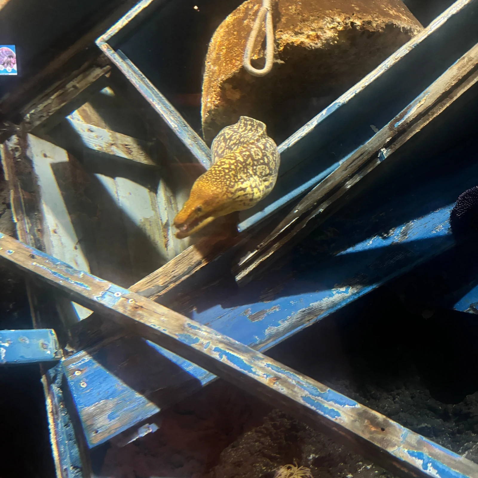 Découvrez le Lanzarote Aquarium à votre rythme
