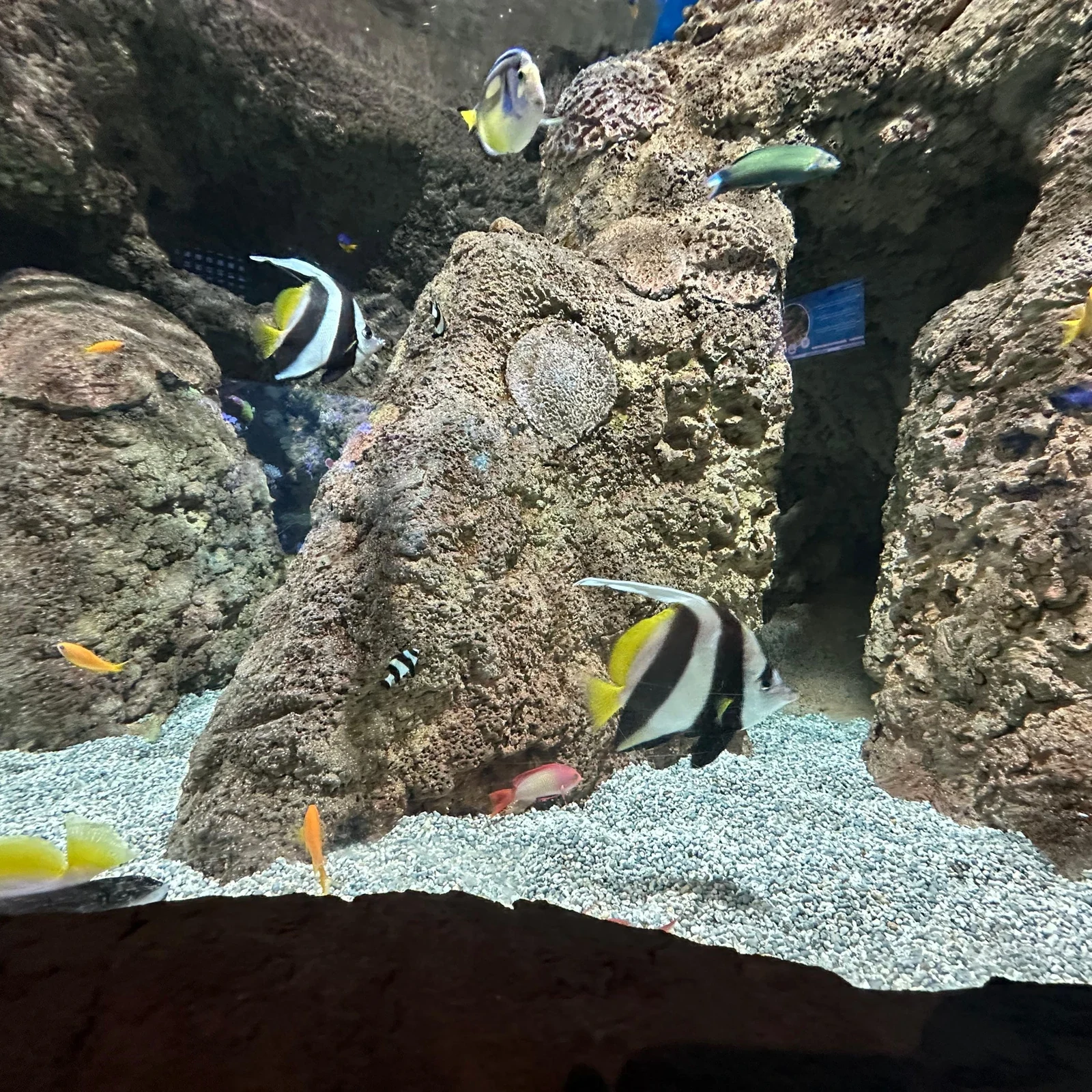 Découvrez le Lanzarote Aquarium à votre rythme