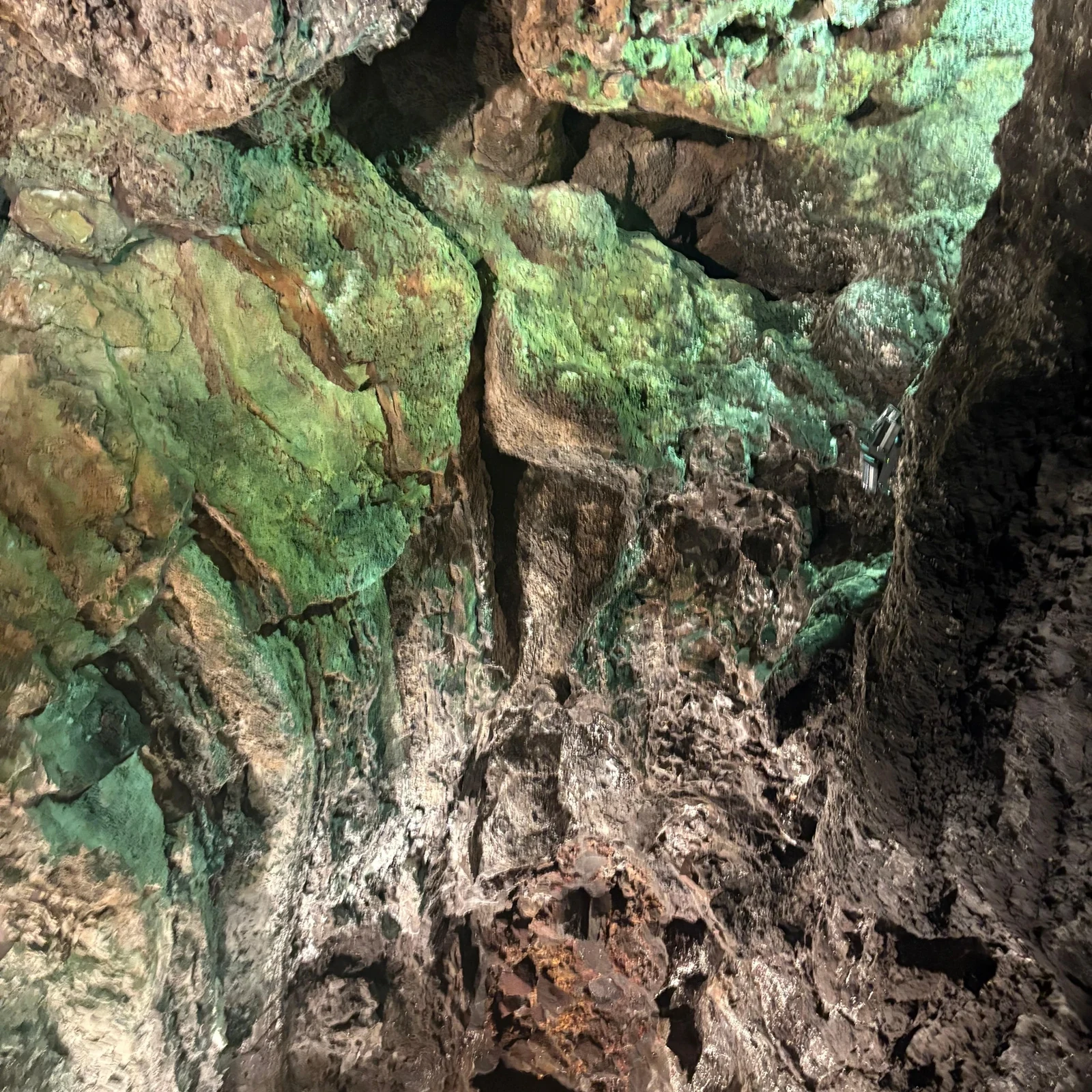 Cueva de los Verdes und Jameos del Agua an einem halben Tag erleben