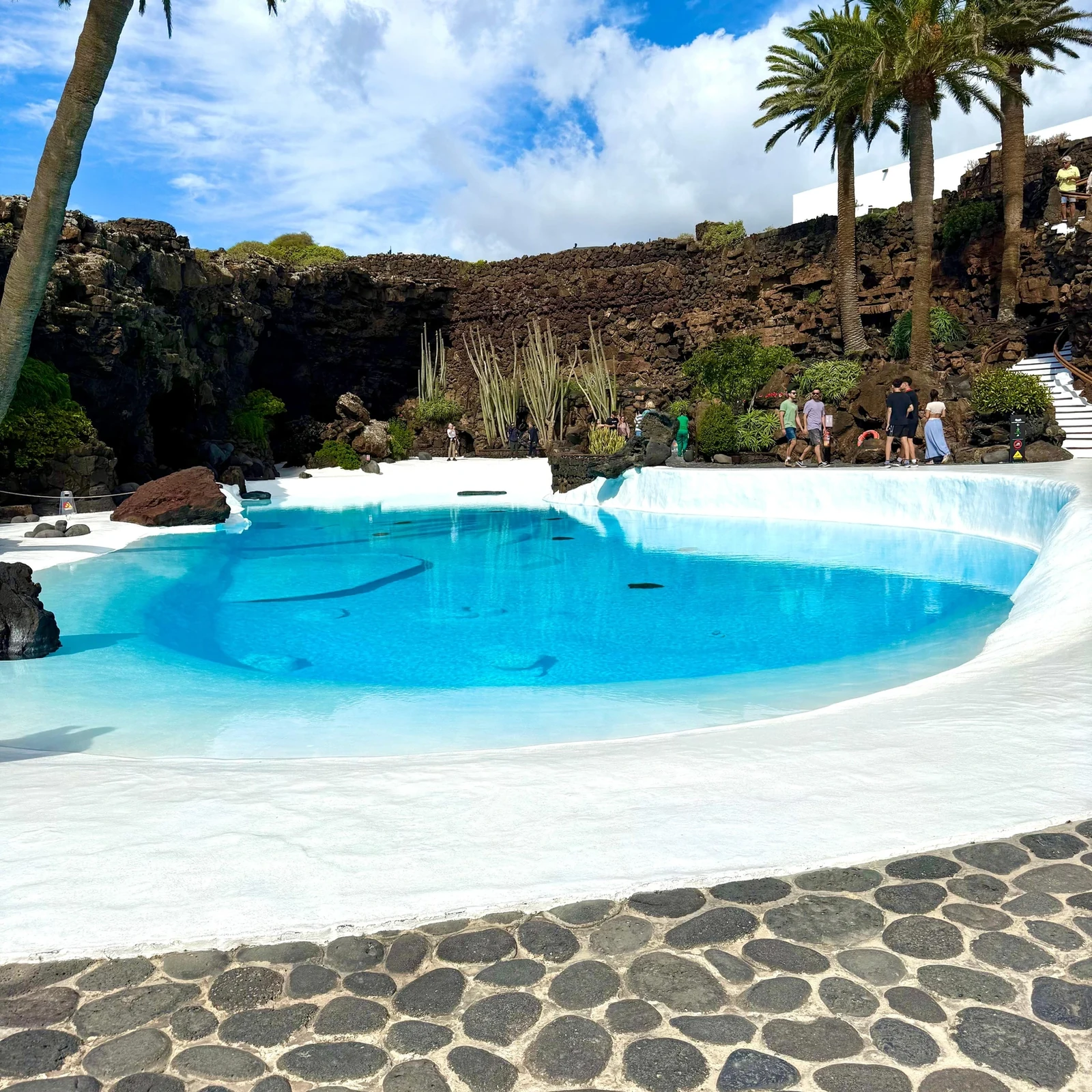 Cueva de los Verdes und Jameos del Agua an einem halben Tag erleben