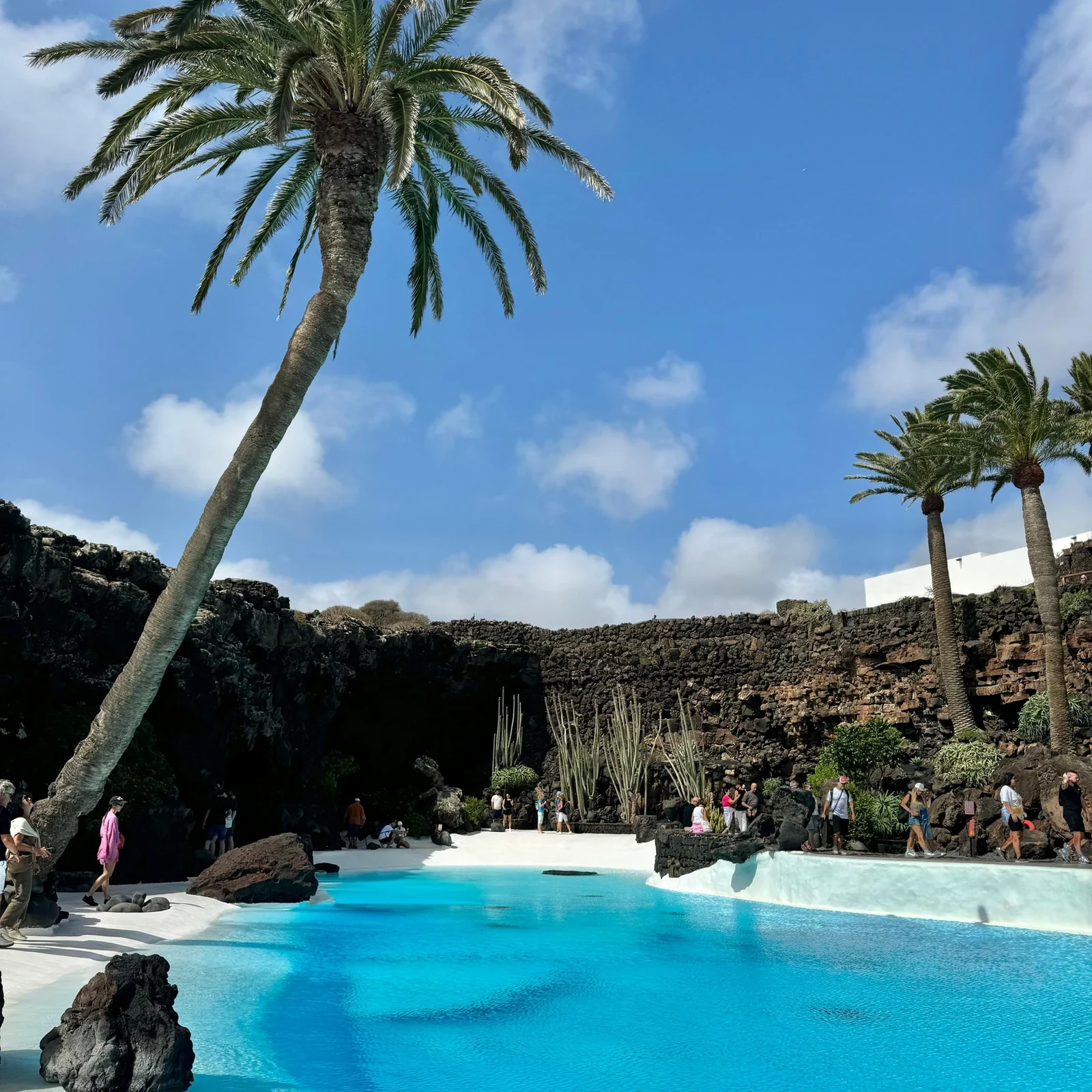 Cueva de los Verdes und Jameos del Agua an einem halben Tag erleben