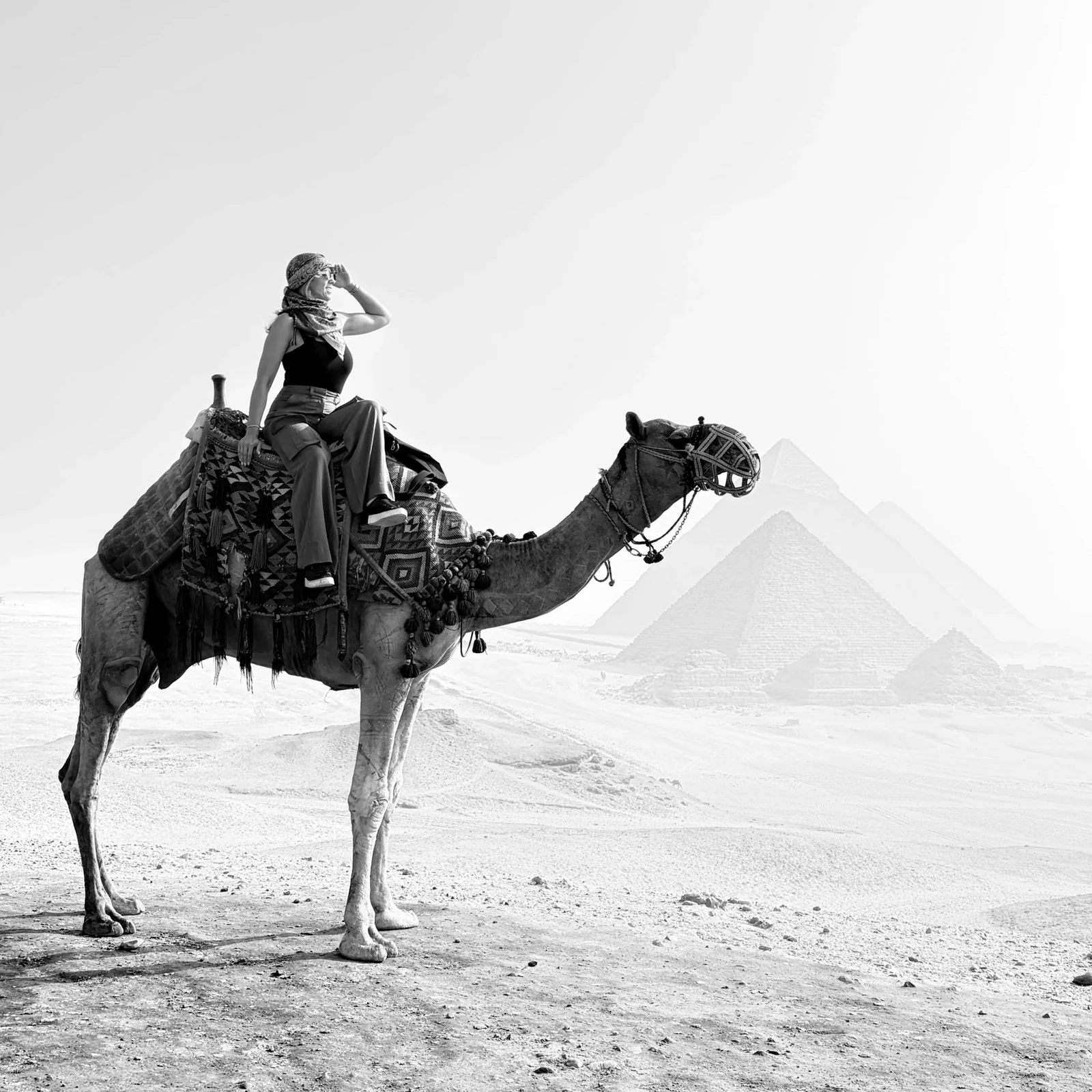 Explore the Giza Pyramids and Great Sphinx in private