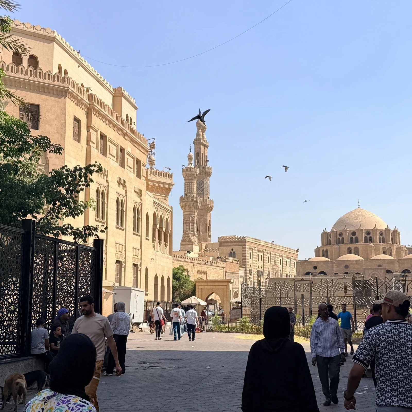 Descubre a pie la historia y los sabores de El Cairo antiguo
