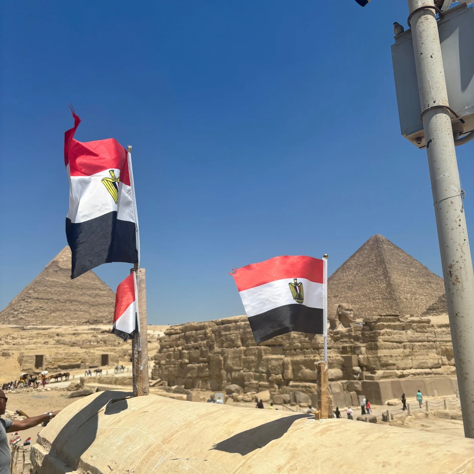 Explore Giza in half a day with transport and an Egyptologist guide