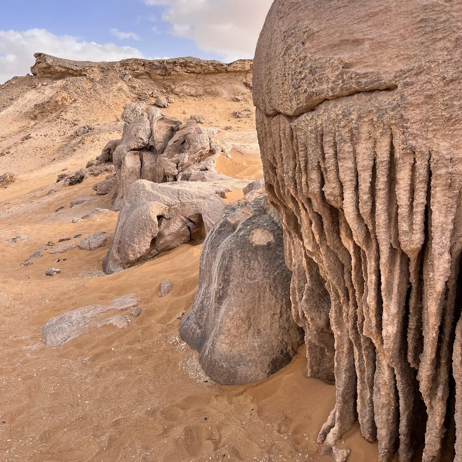 Dos días entre Bahariya y el Desierto Blanco