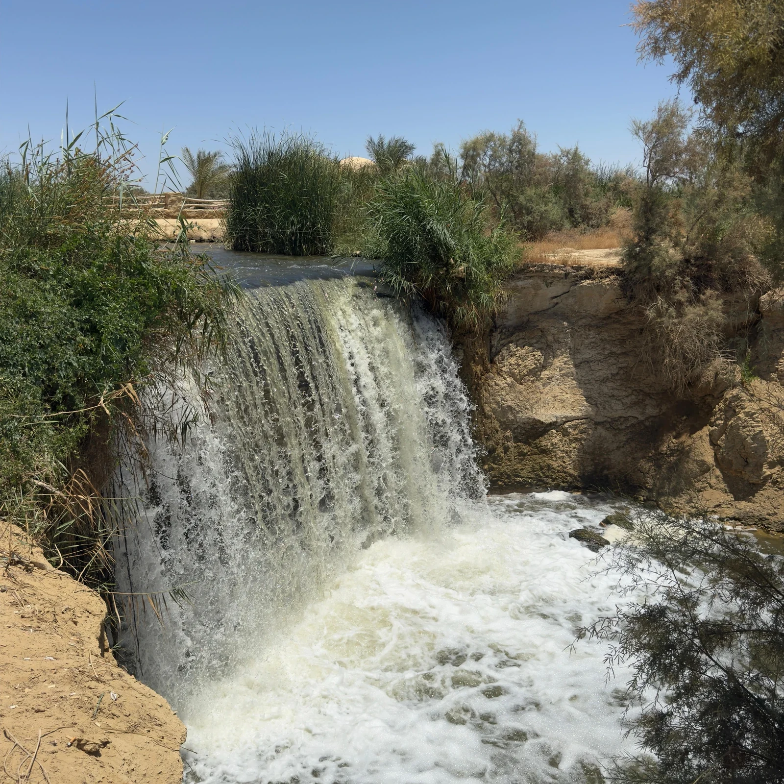 El Fayoum depuis Le Caire : désert, fossiles et parcours en 4x4